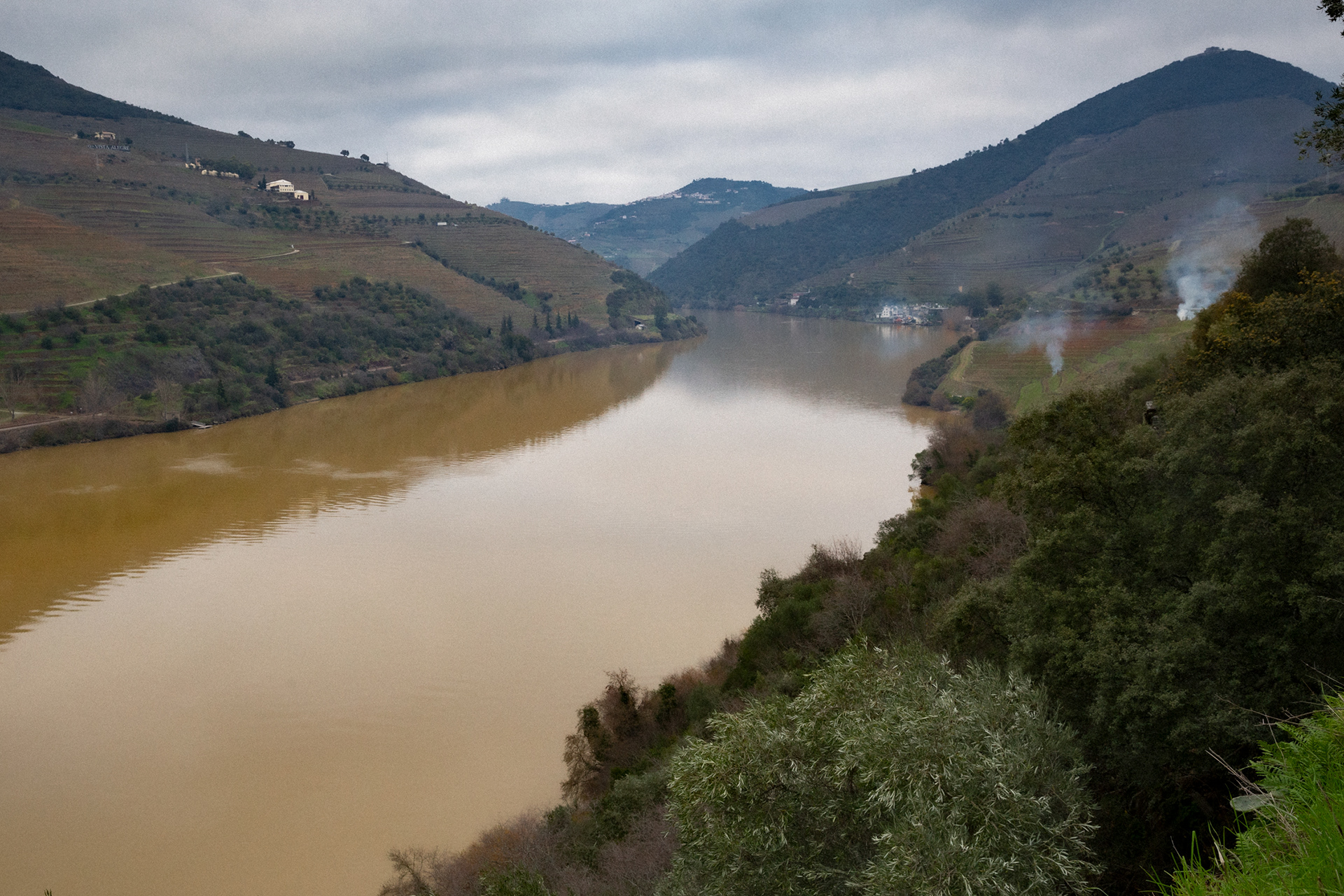Douro River Valley