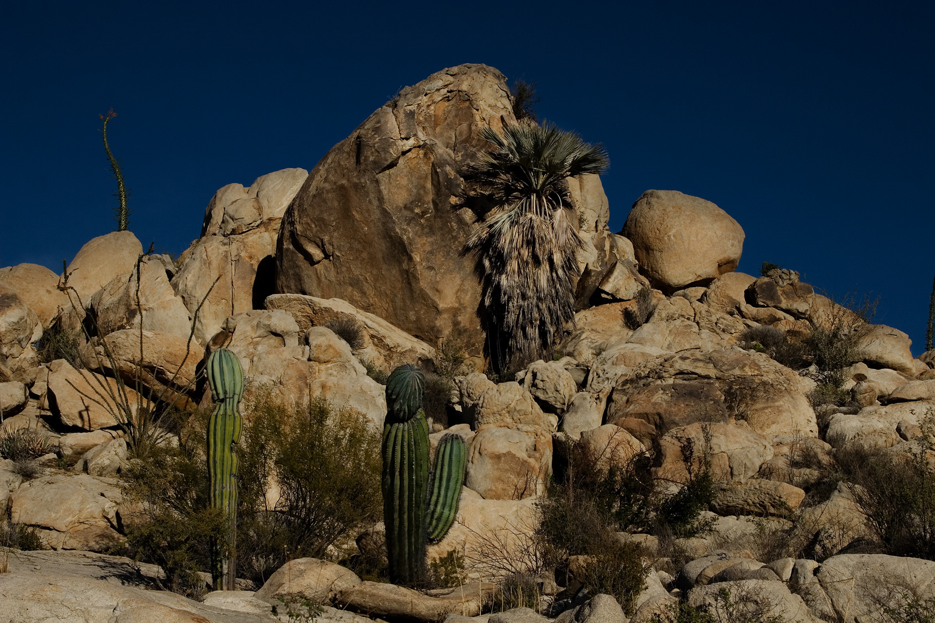 Baja California