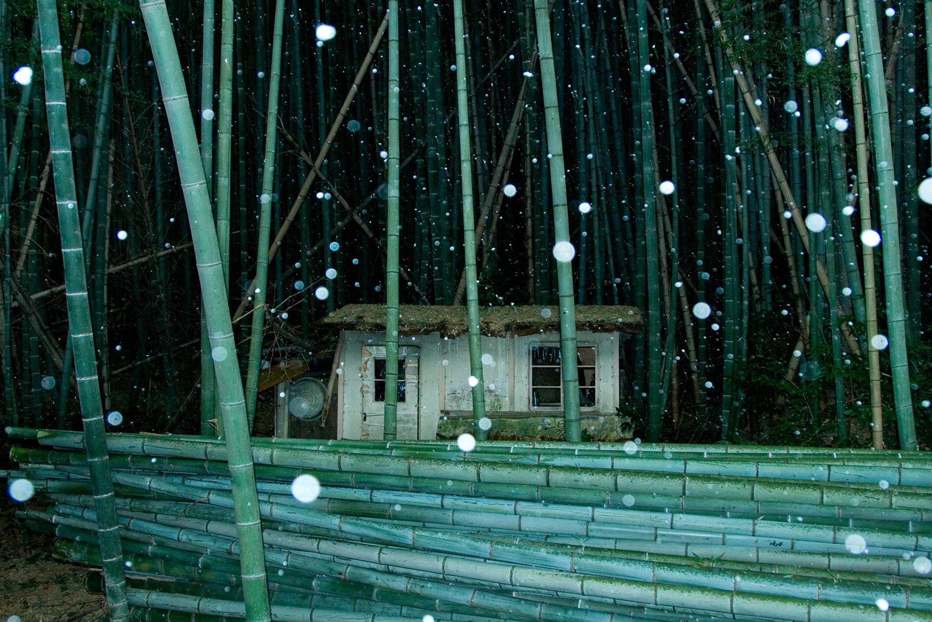 Kyoto