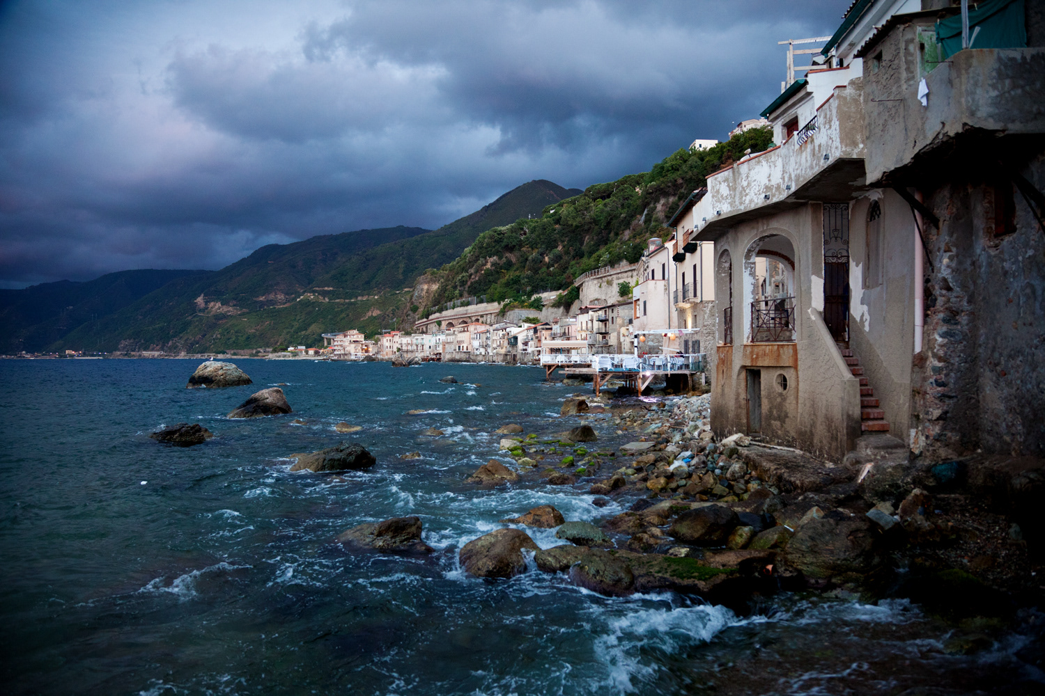 Scilla