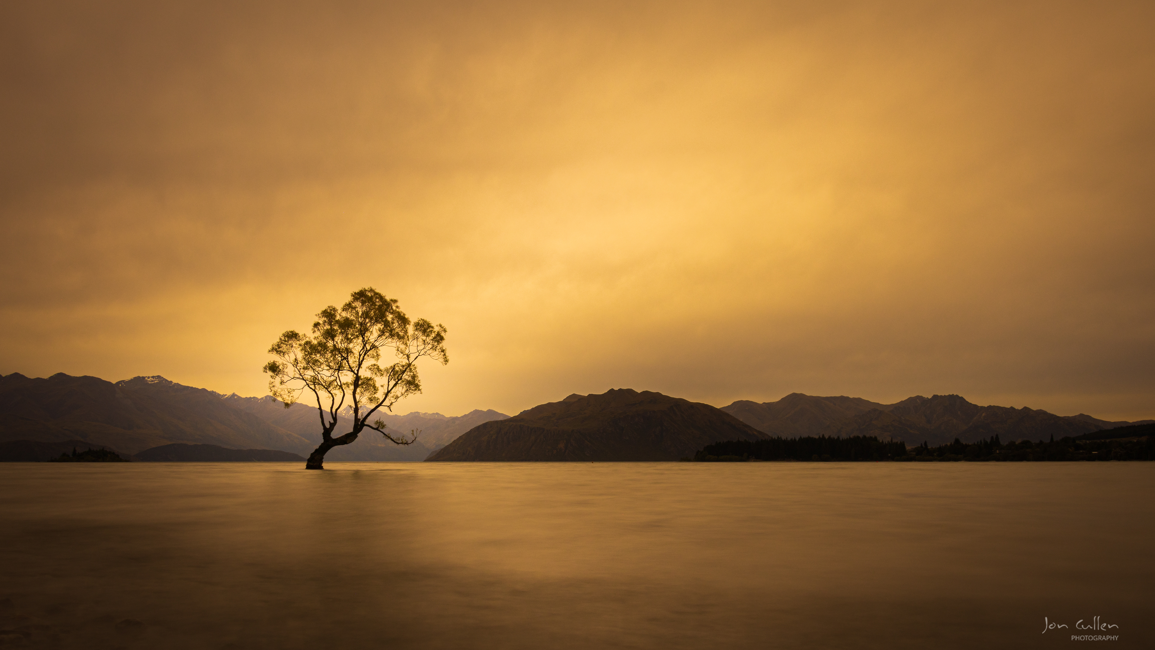 That Wanaka Tree, Lake Wanaka
