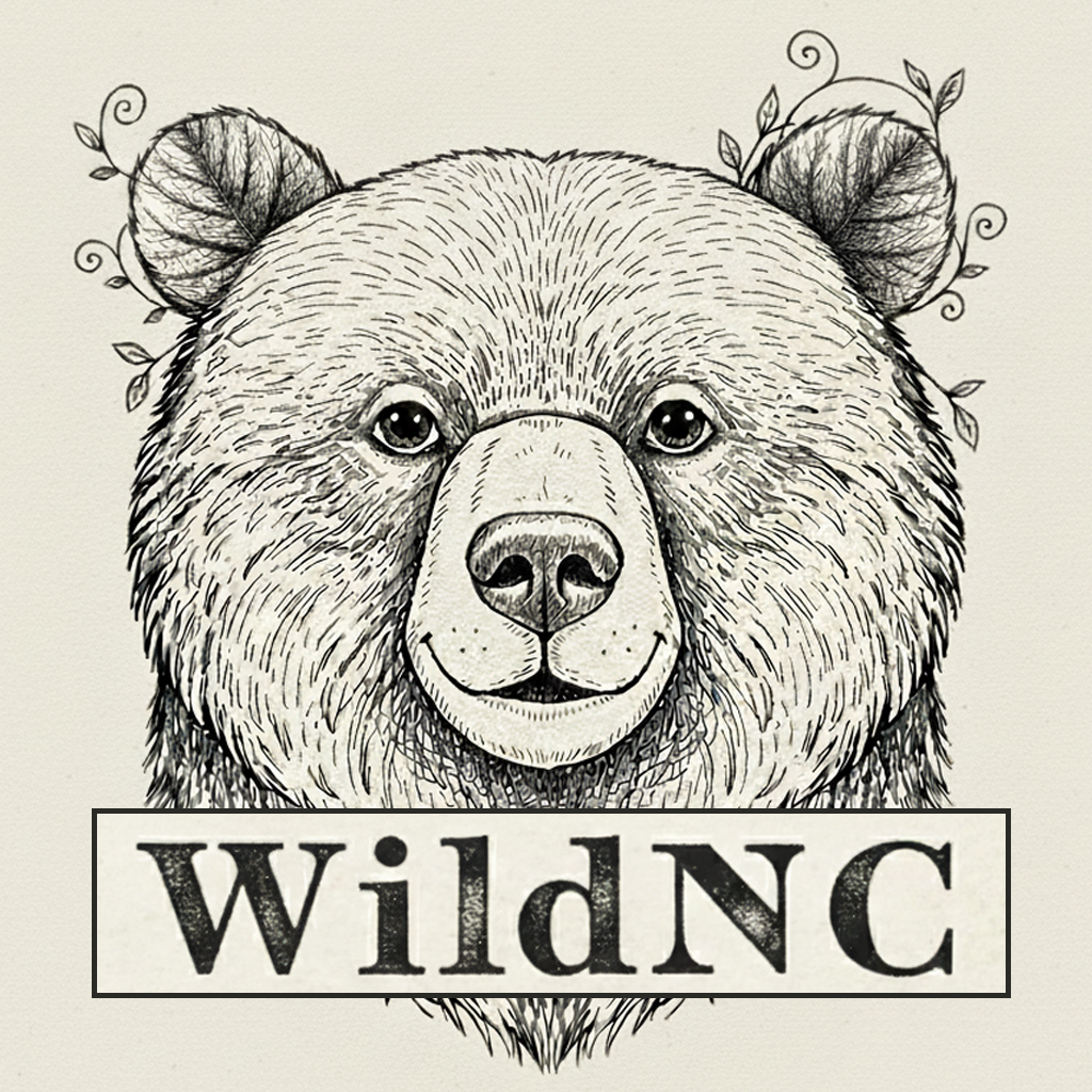 Austin Dillman Wildlife Photography