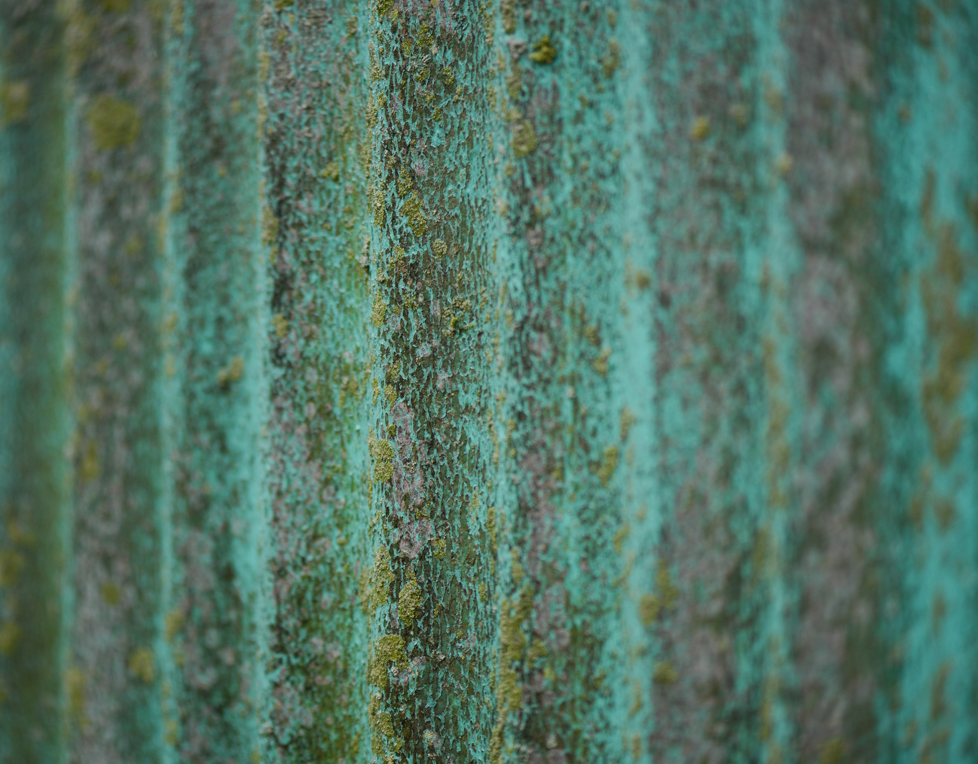 A corrugated metal wall of an MFA Inc. fertilizer plant sits next to what was once the Rock Island Corridor on Friday, Aug. 30 in Cole Camp, Missouri. MFA Inc. used to unload fertilizer directly from the railroad, but now MFA Inc. mostly relies on trucks.