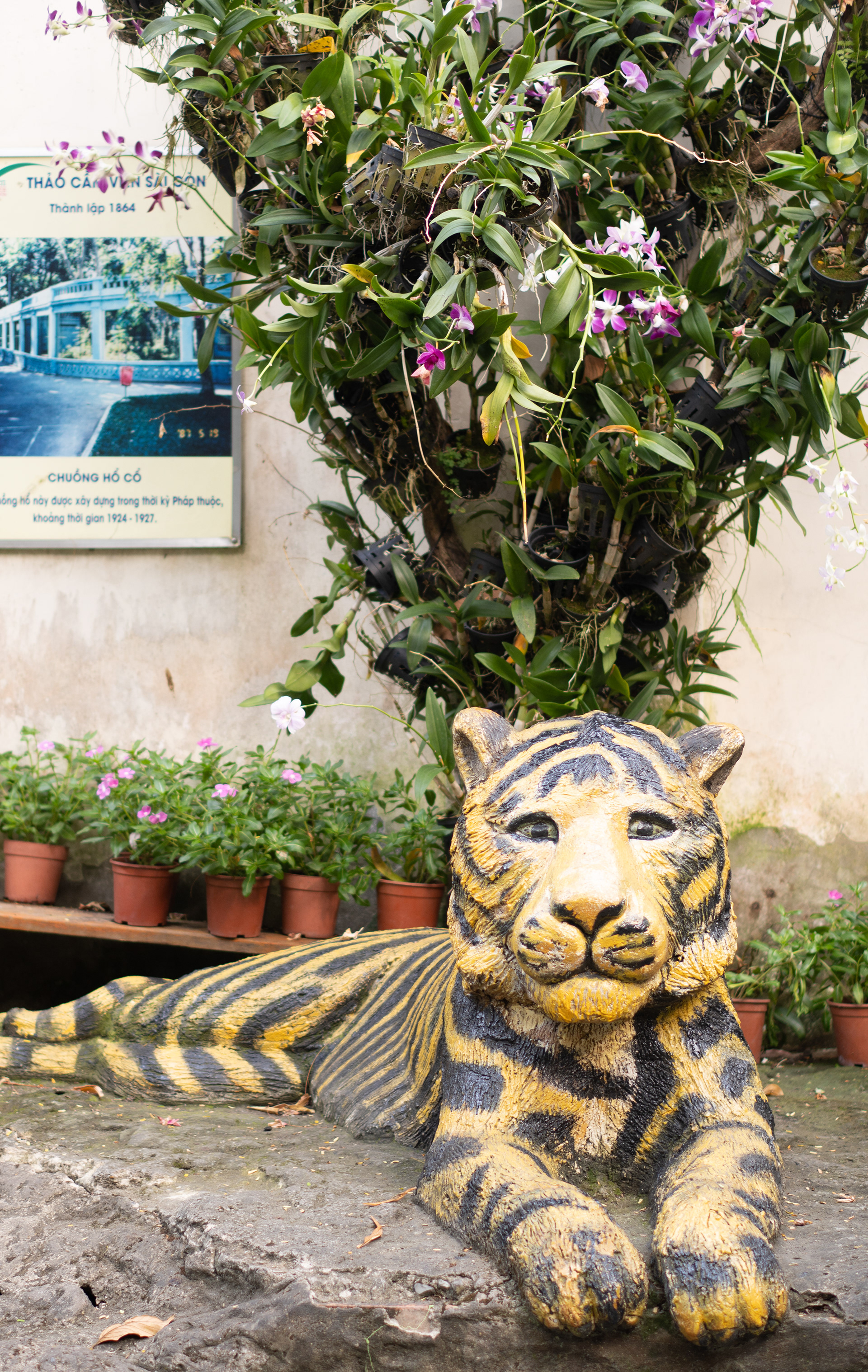 The zoo's striking tiger statue, tall and imposing, embodies the raw power and beauty of its real-life counterpart. The meticulous craftsmanship evident in its fierce expression and the dynamic lines of its form evoke admiration for this magnificent creature. The statue is situated amongst lush foliage and is a powerful reminder of the zoo's dedication to wildlife conservation.