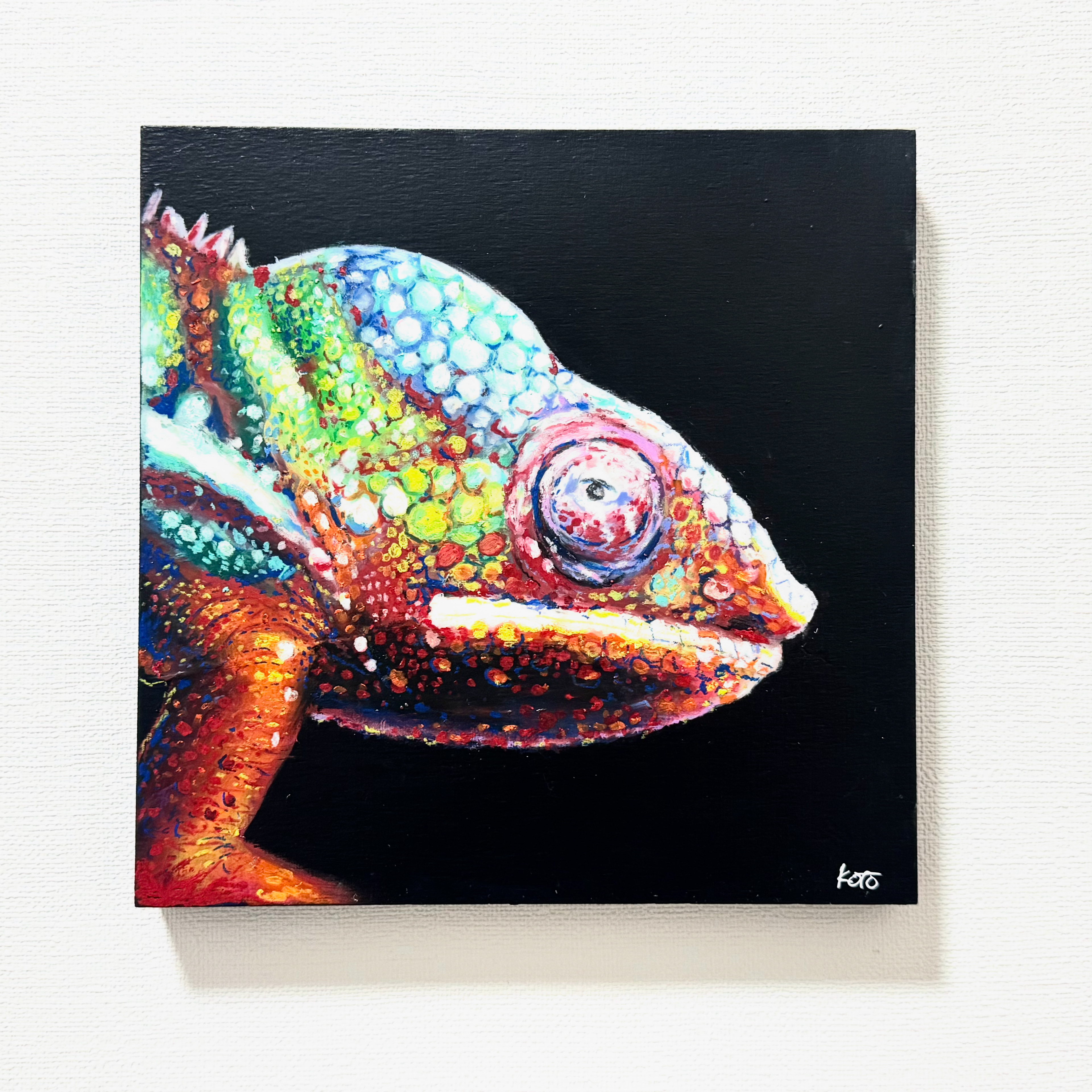 カメレオン　SSMサイズ