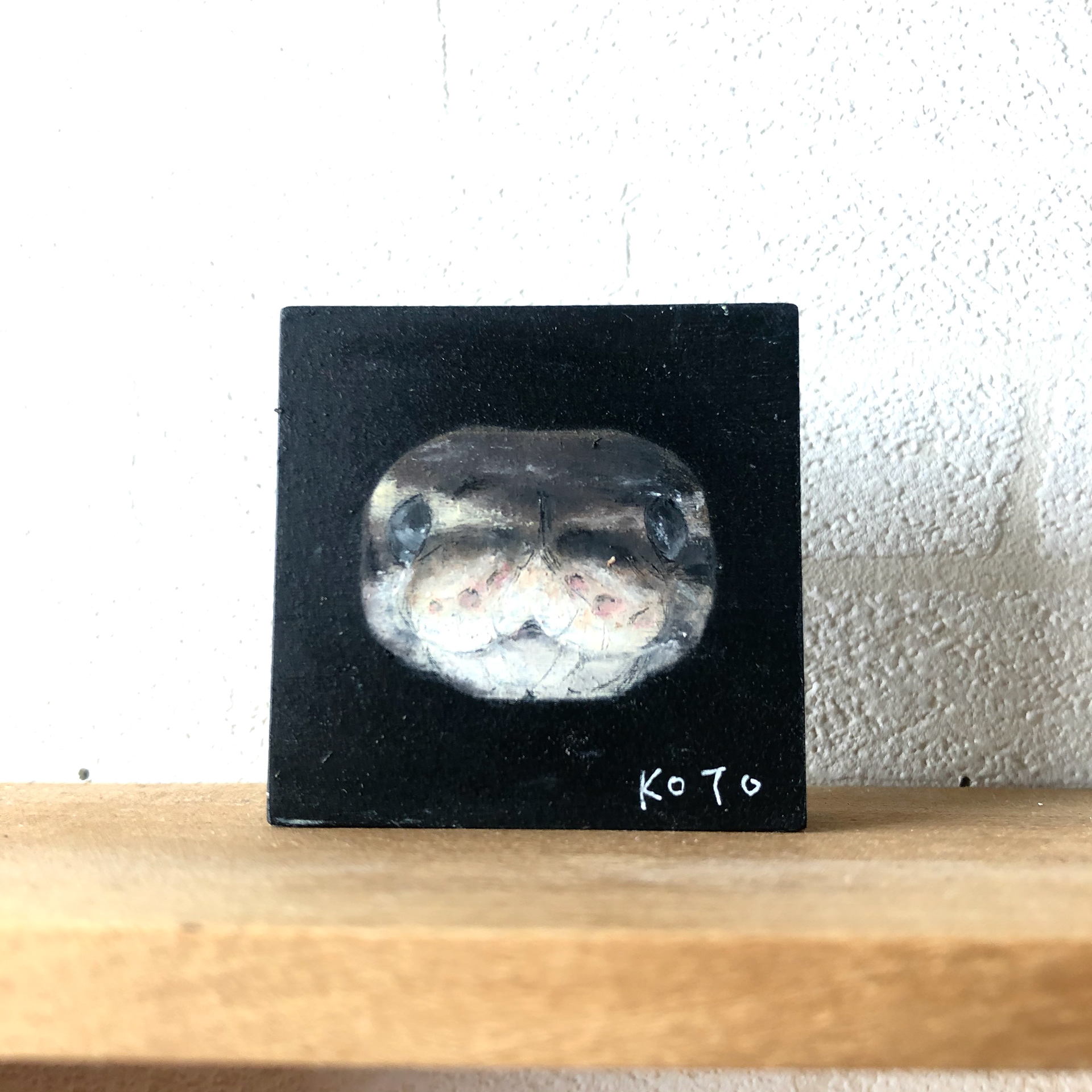 5cm*5cm ボールパイソン