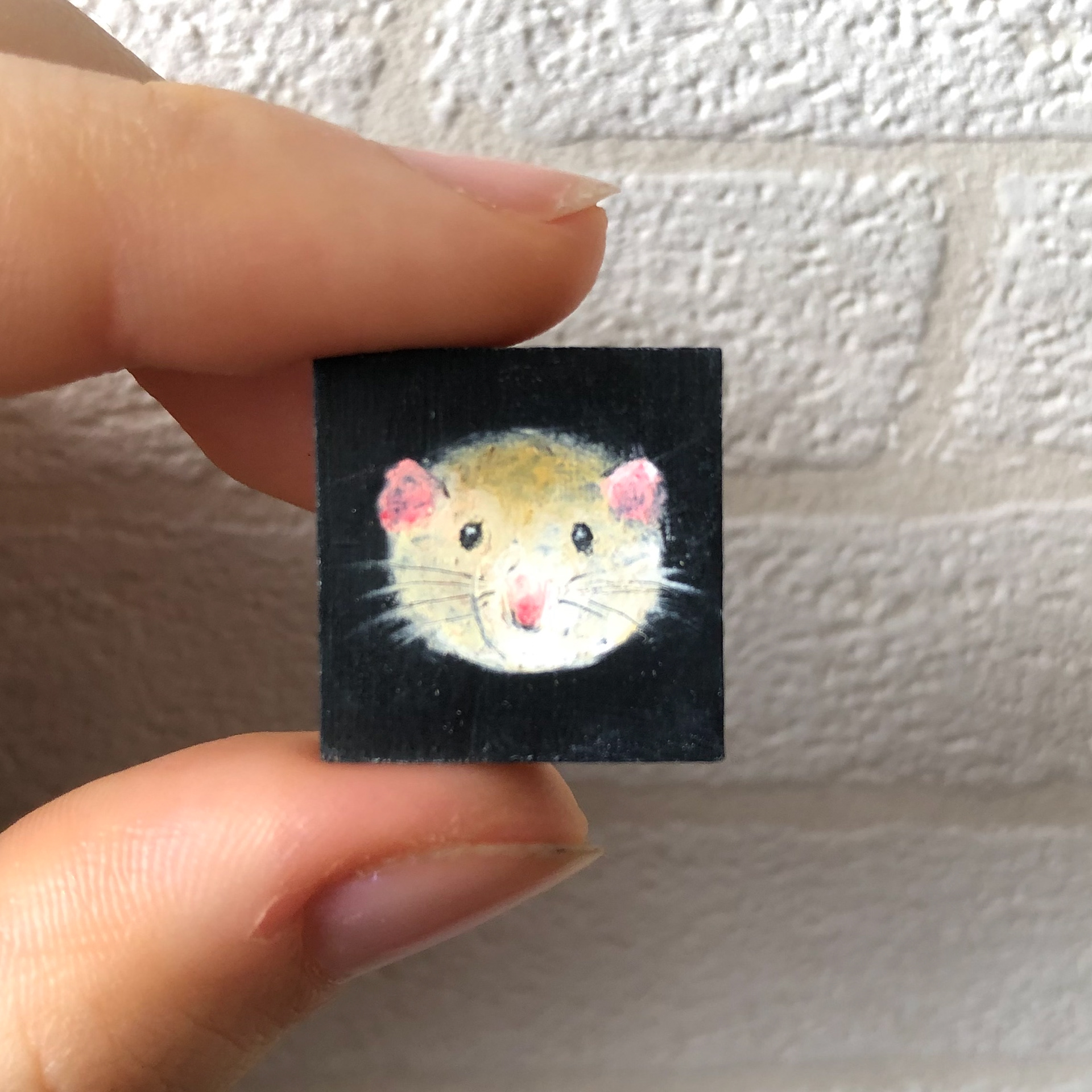 1.5cm*1.5cm