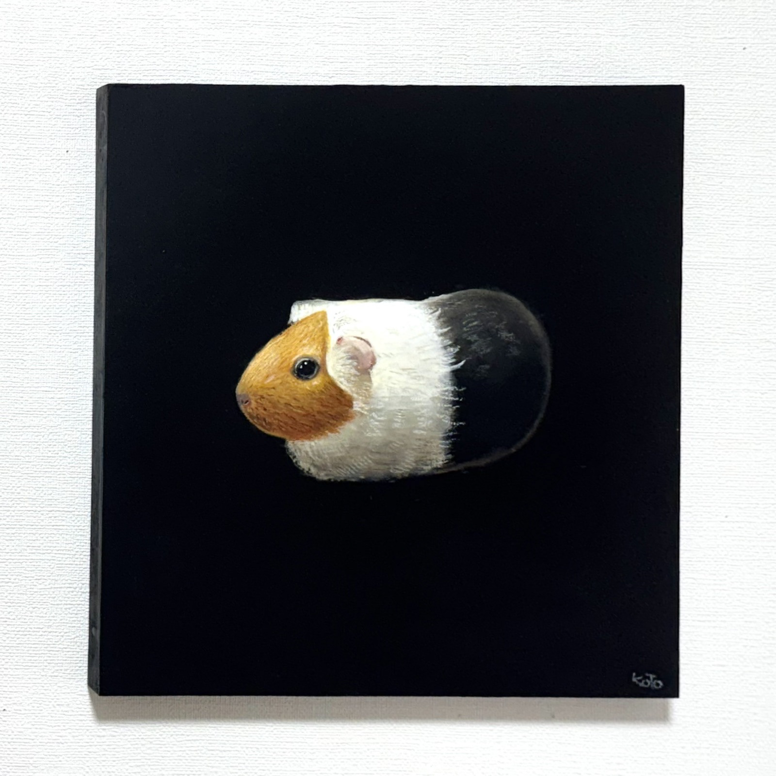 モルモット　30cmx30cm