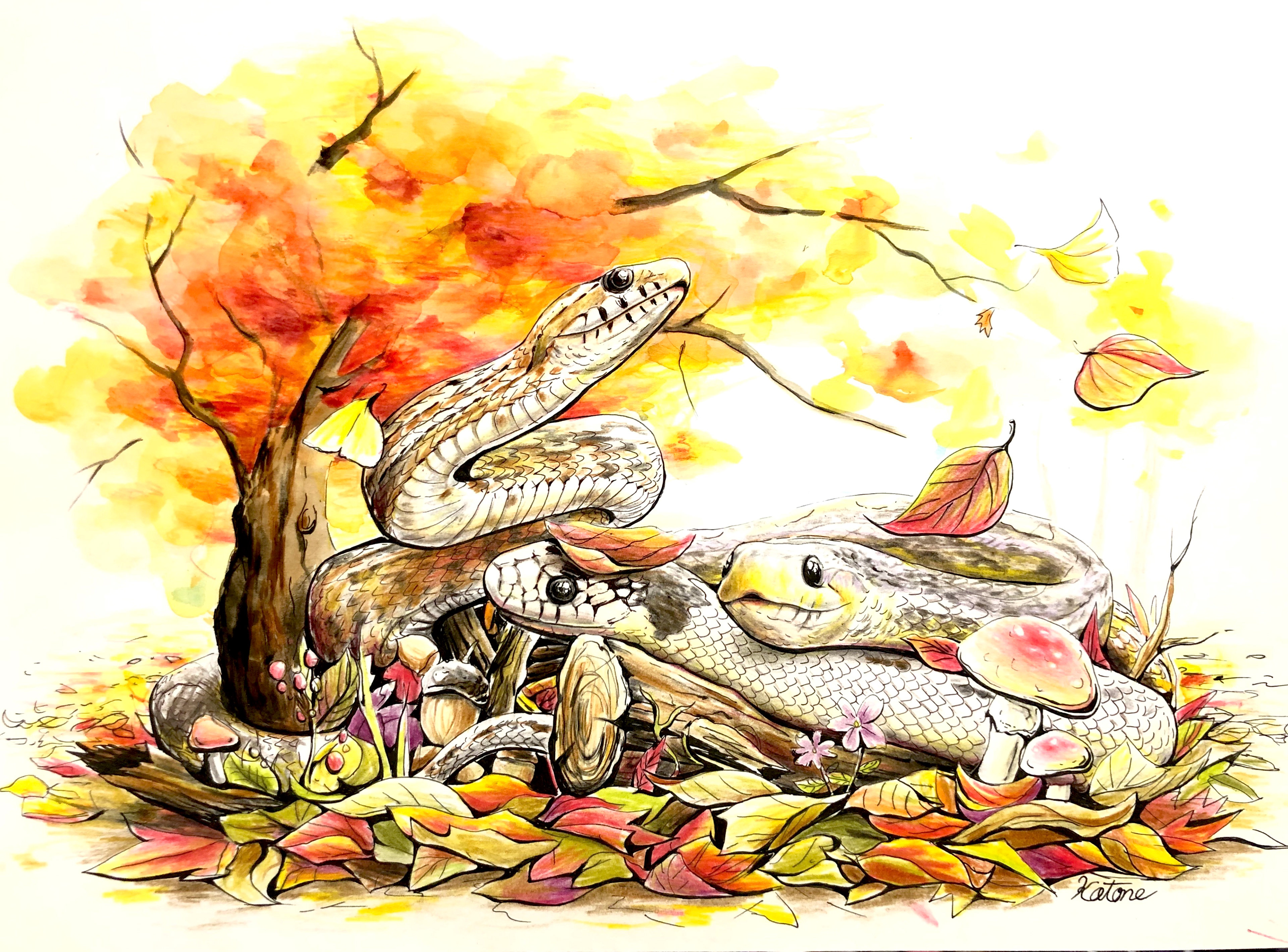 オーダーイラスト A4サイズ(2019)