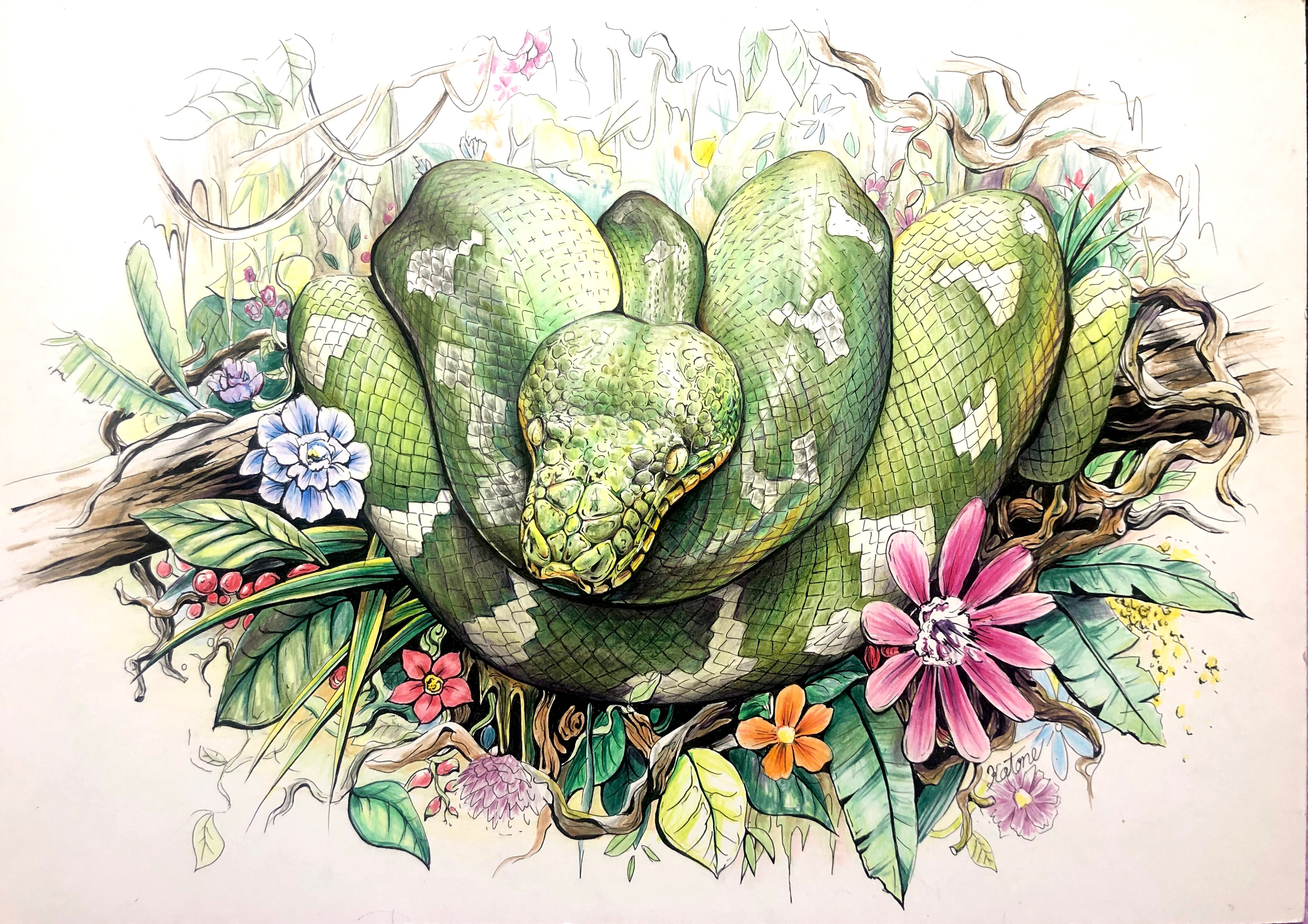 オーダーイラスト A3サイズ (2019)