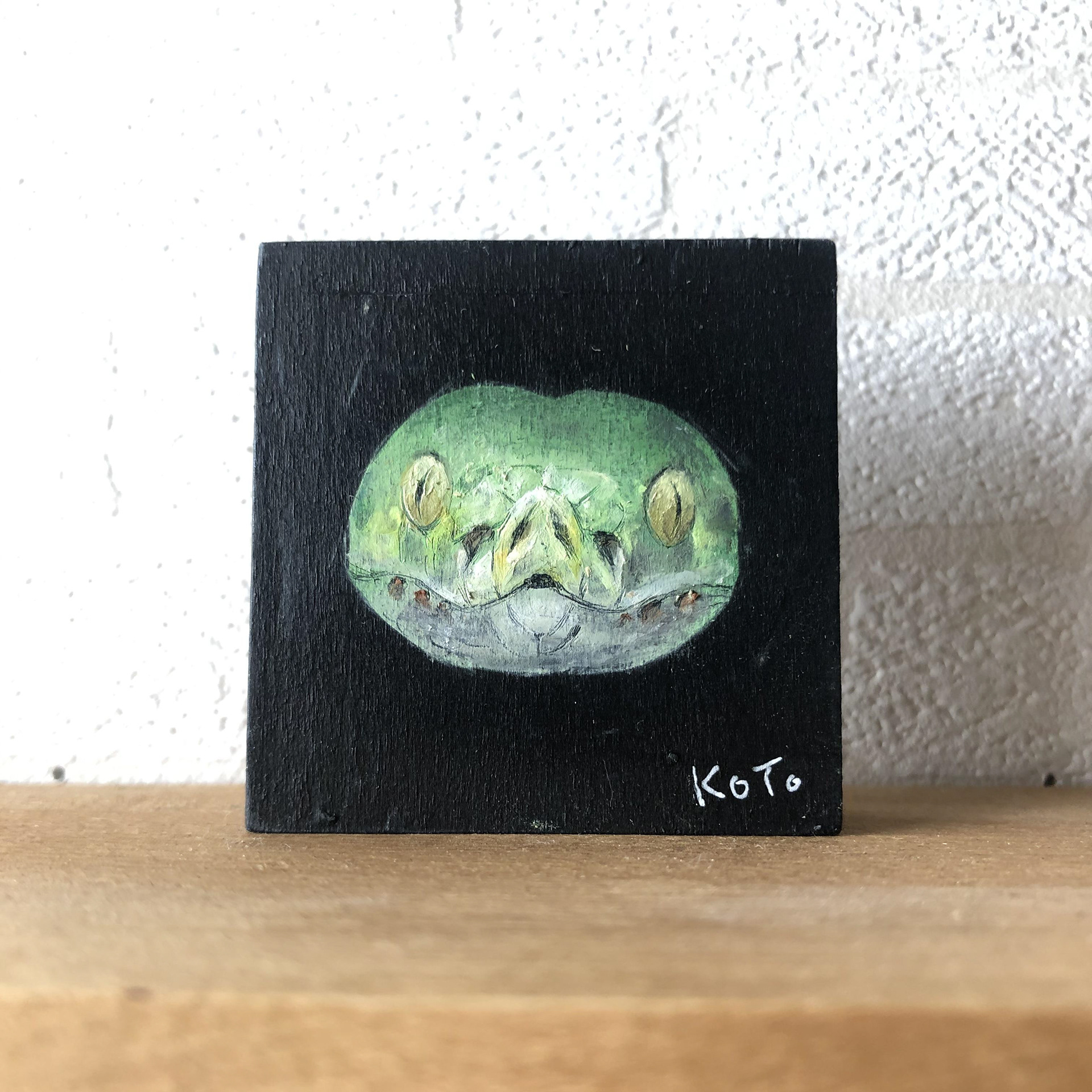 5cm*5cm グリーンパイソン