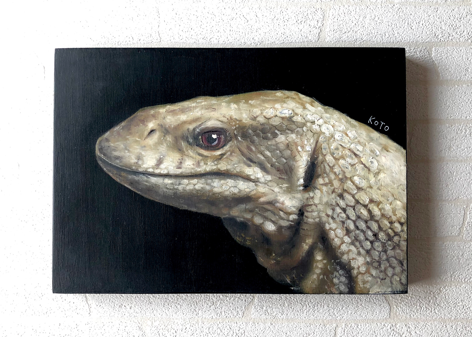 サバンナモニター 227x158