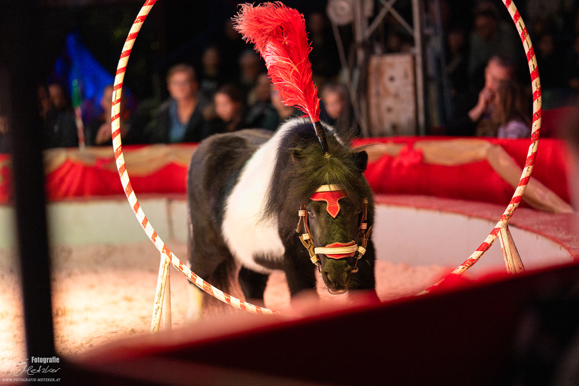 2026 Weihnachtscircus
