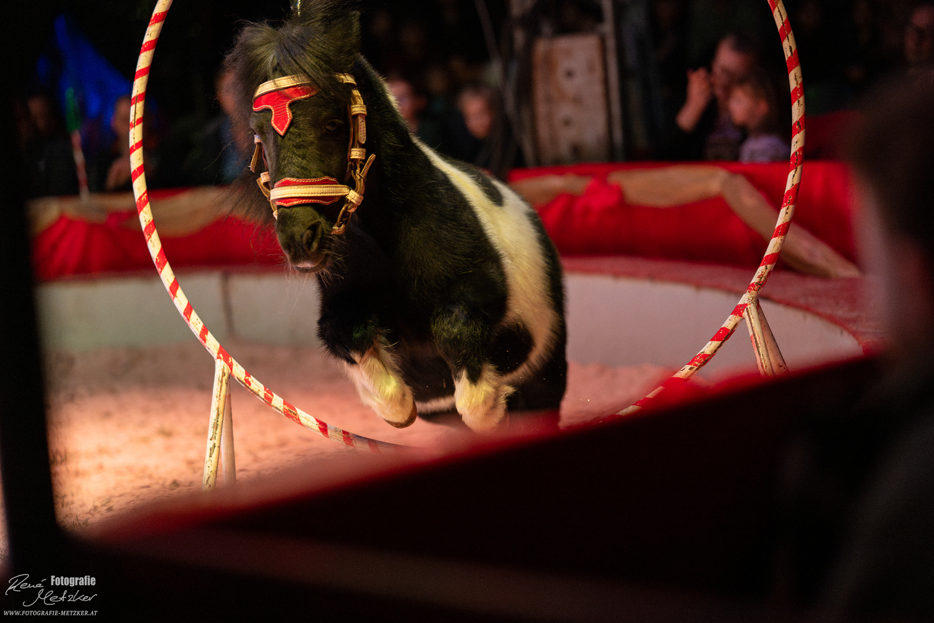 2026 Weihnachtscircus