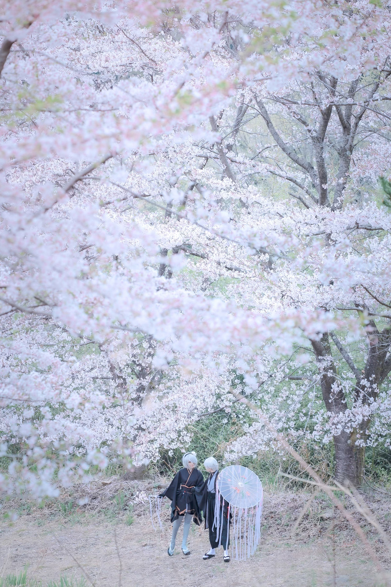 9S:ルーイ / 2B:明井さん / Photo:Syamoさん