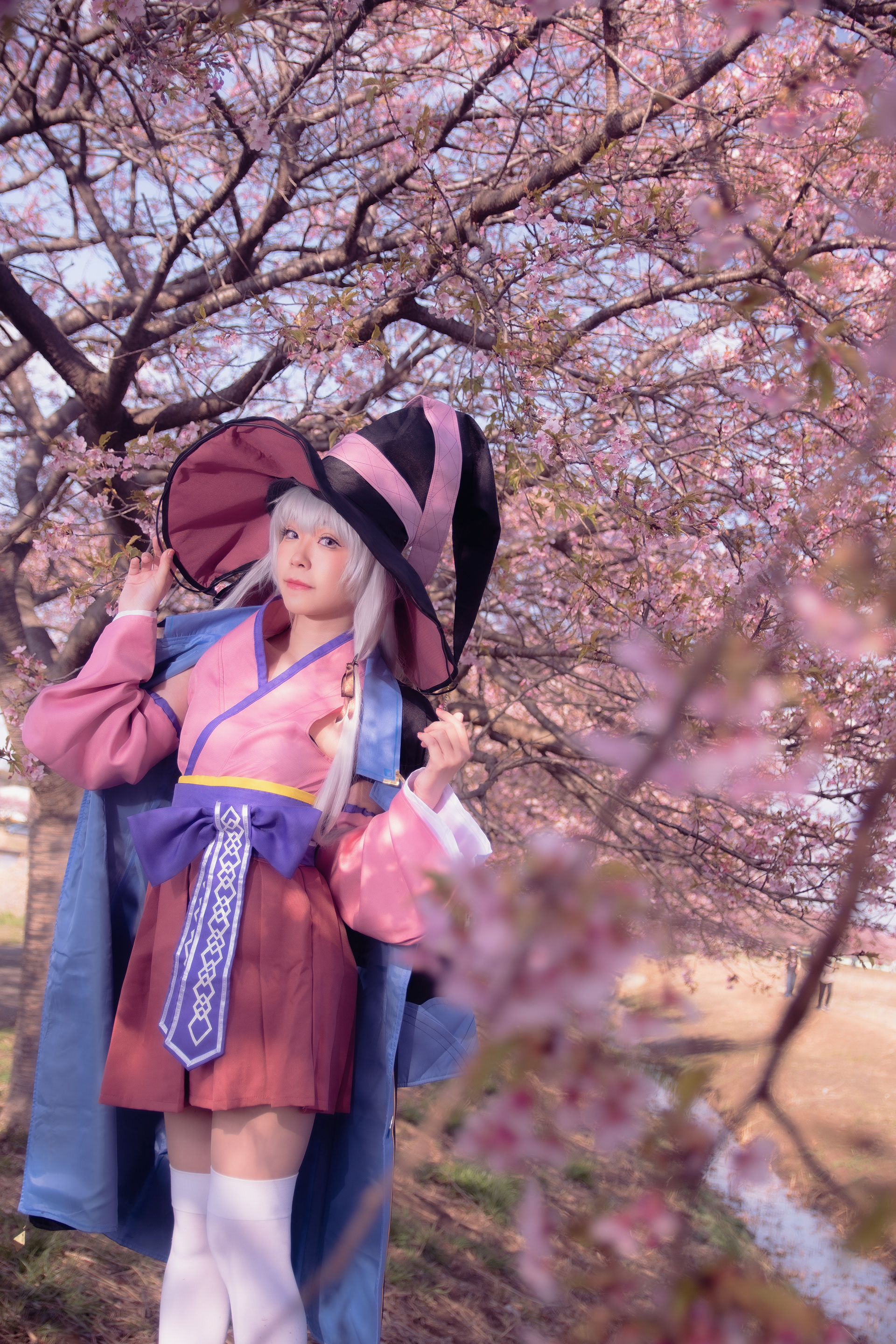 魔女の旅々 / イレイナ(カーテン魂コラボ 桜)