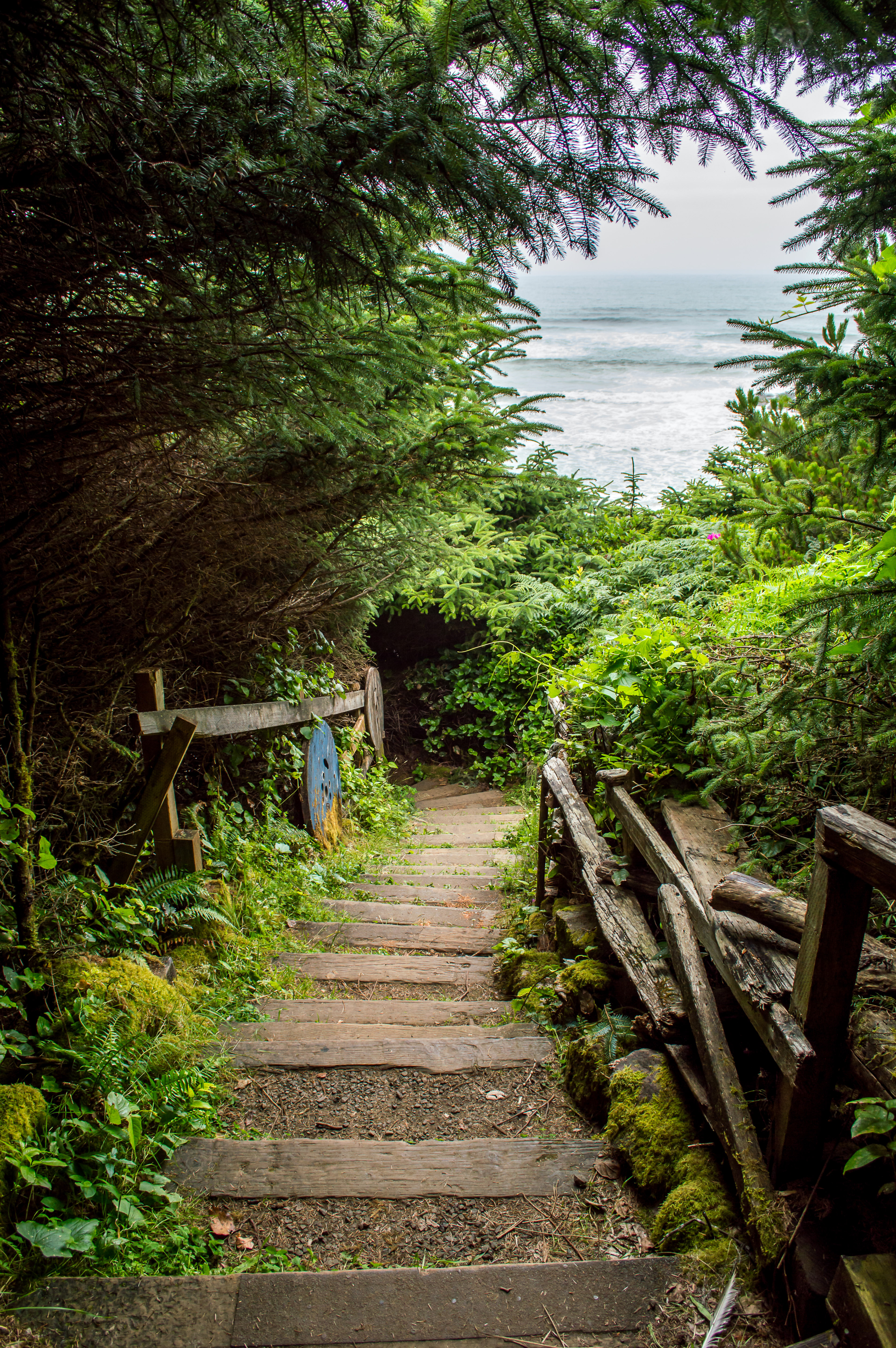 Stairs down to Short Beach, which is just north of Oceanside.