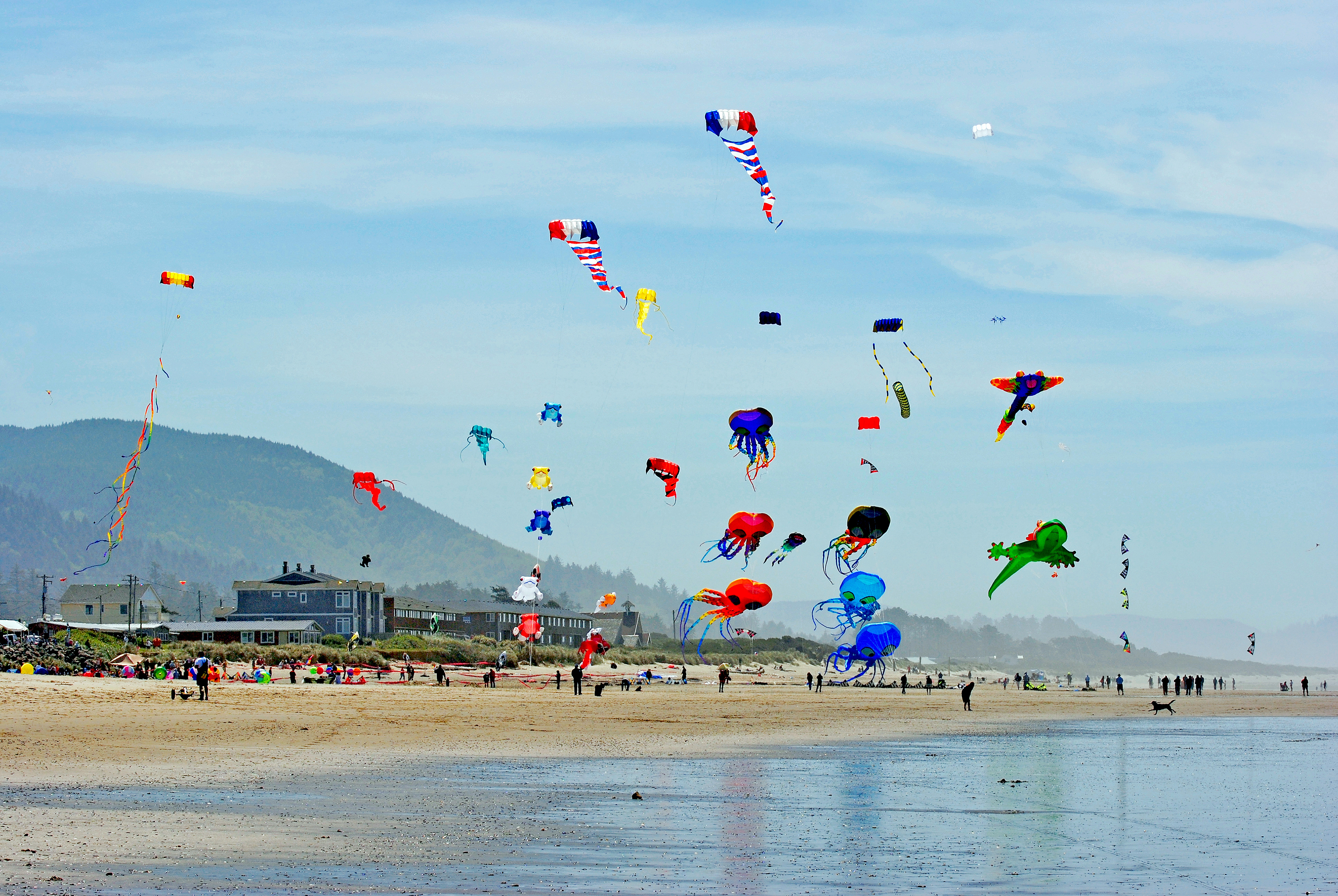 Kite festival, May 2012