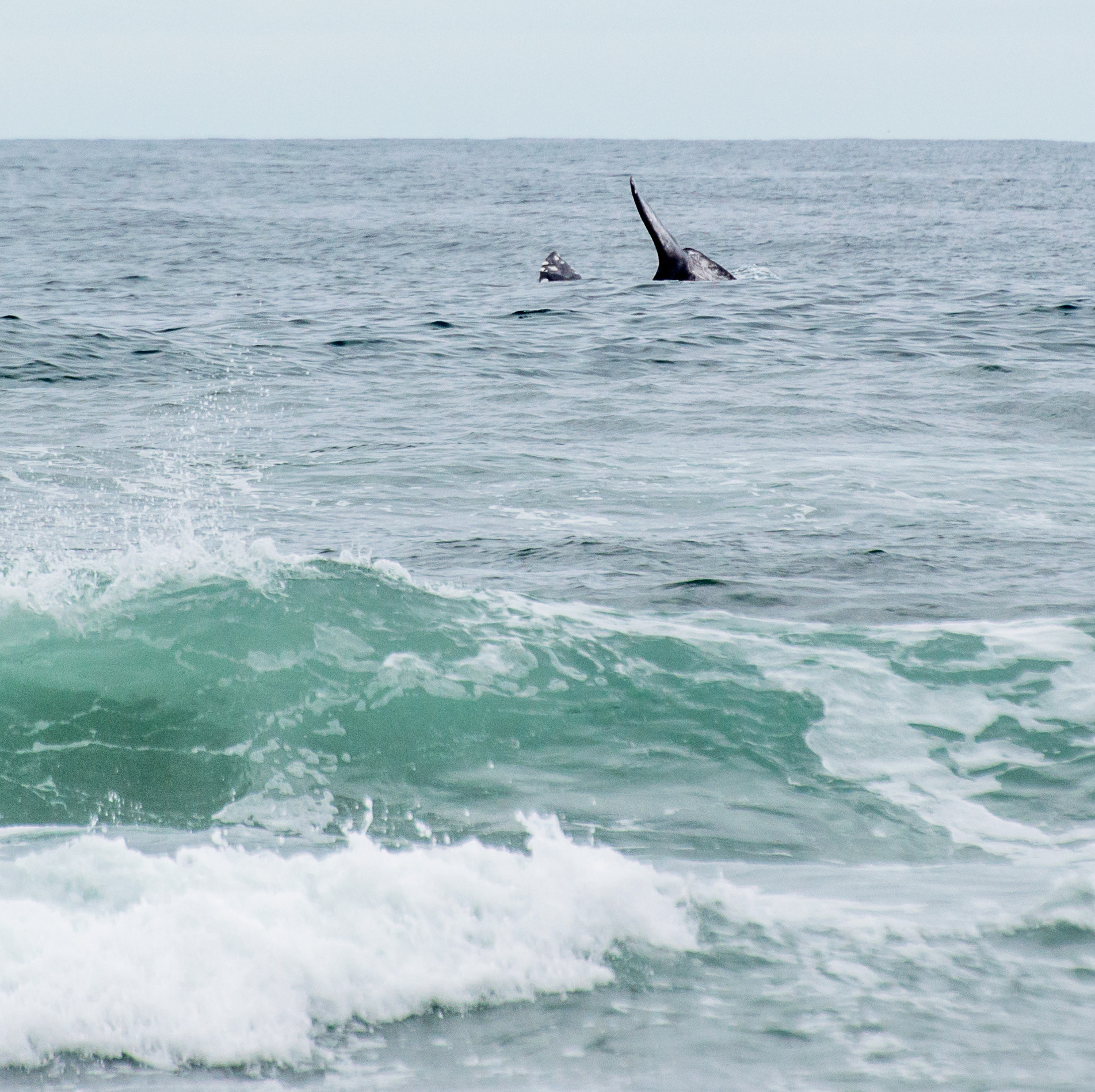 I saw this sight from the beach in Rockaway.