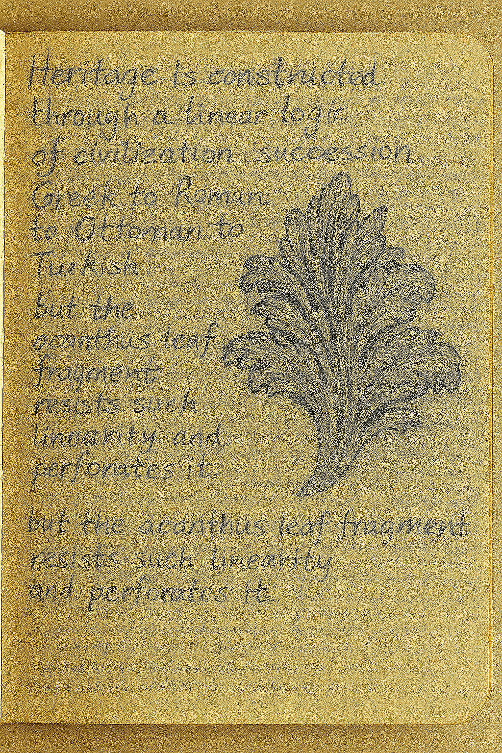 sketch of an Acanthus leaf