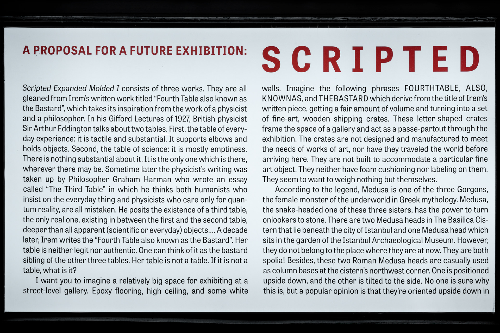 Details from the “A Proposal for a Future Exhibition: Scripted Expanded Molded I.”