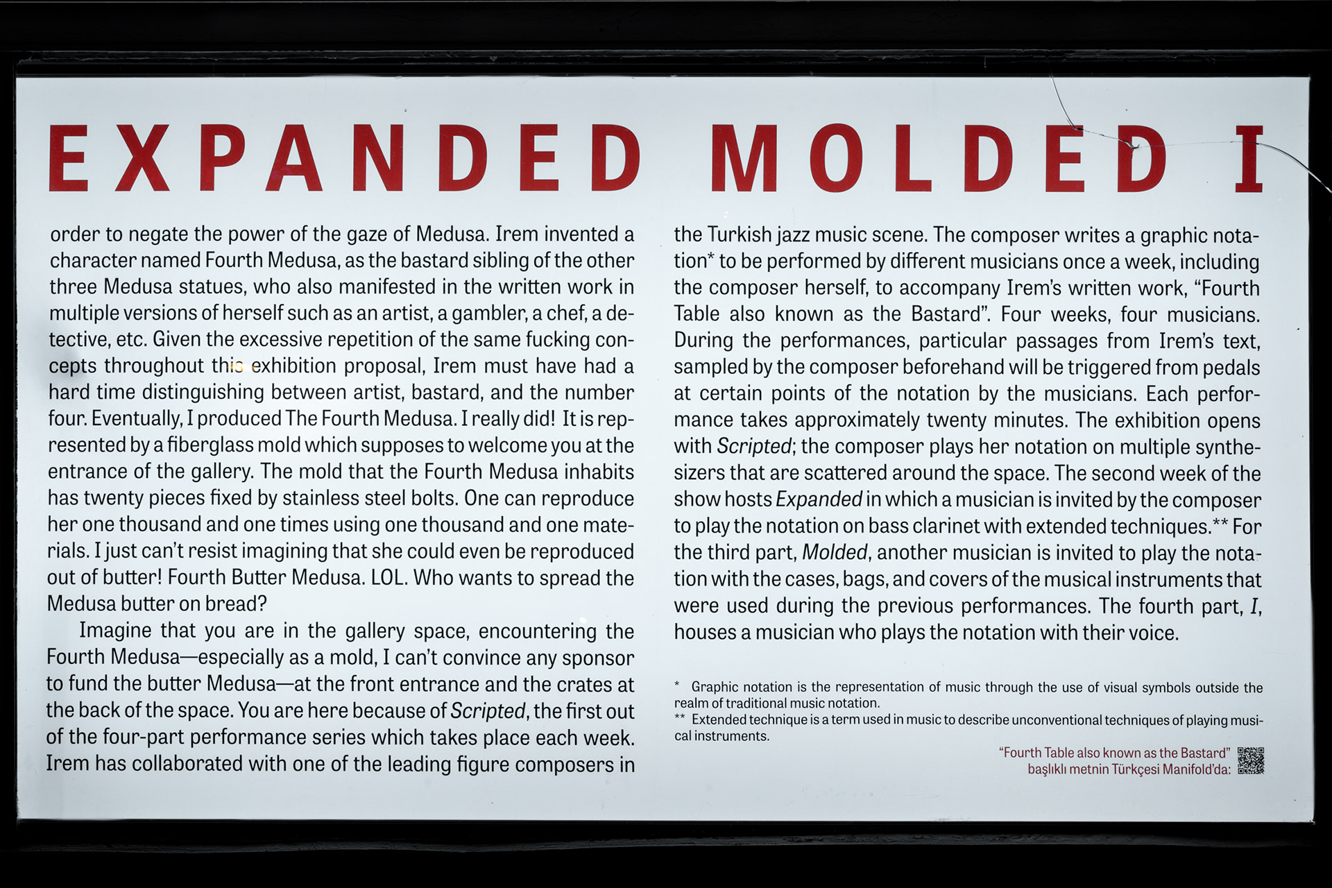 Details from the “A Proposal for a Future Exhibition: Scripted Expanded Molded I.”