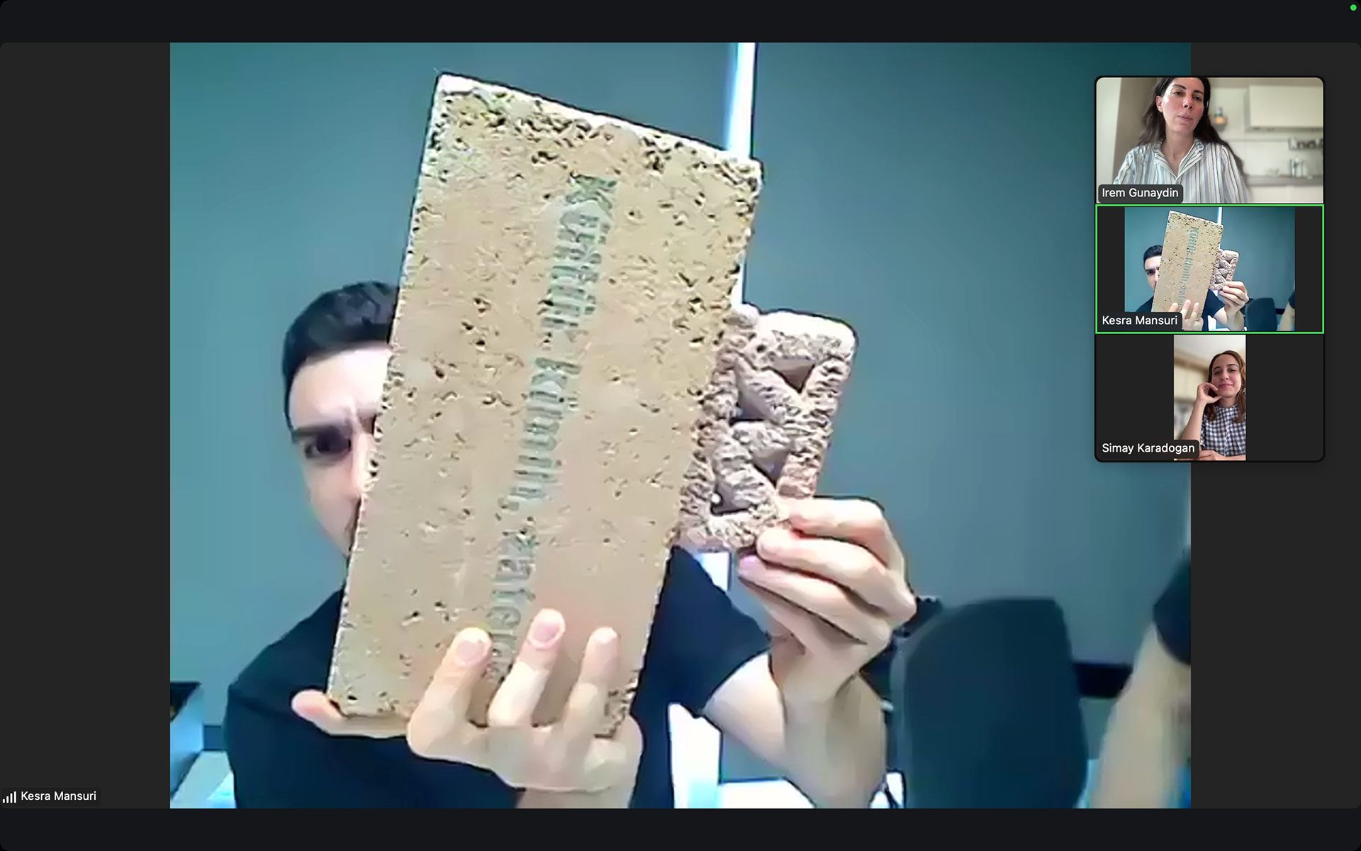 zoom meeting with the team