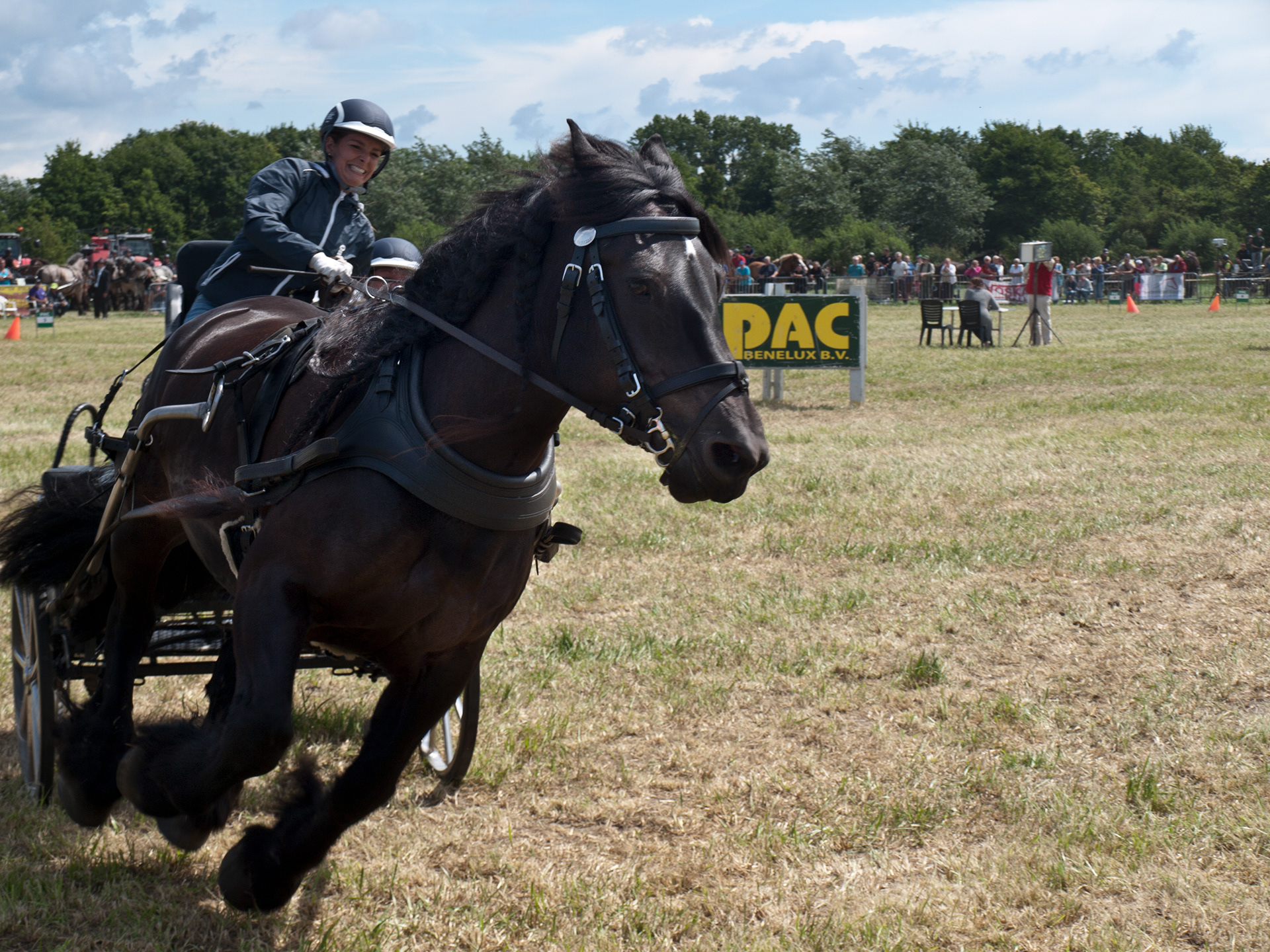 Power horse Competitie
