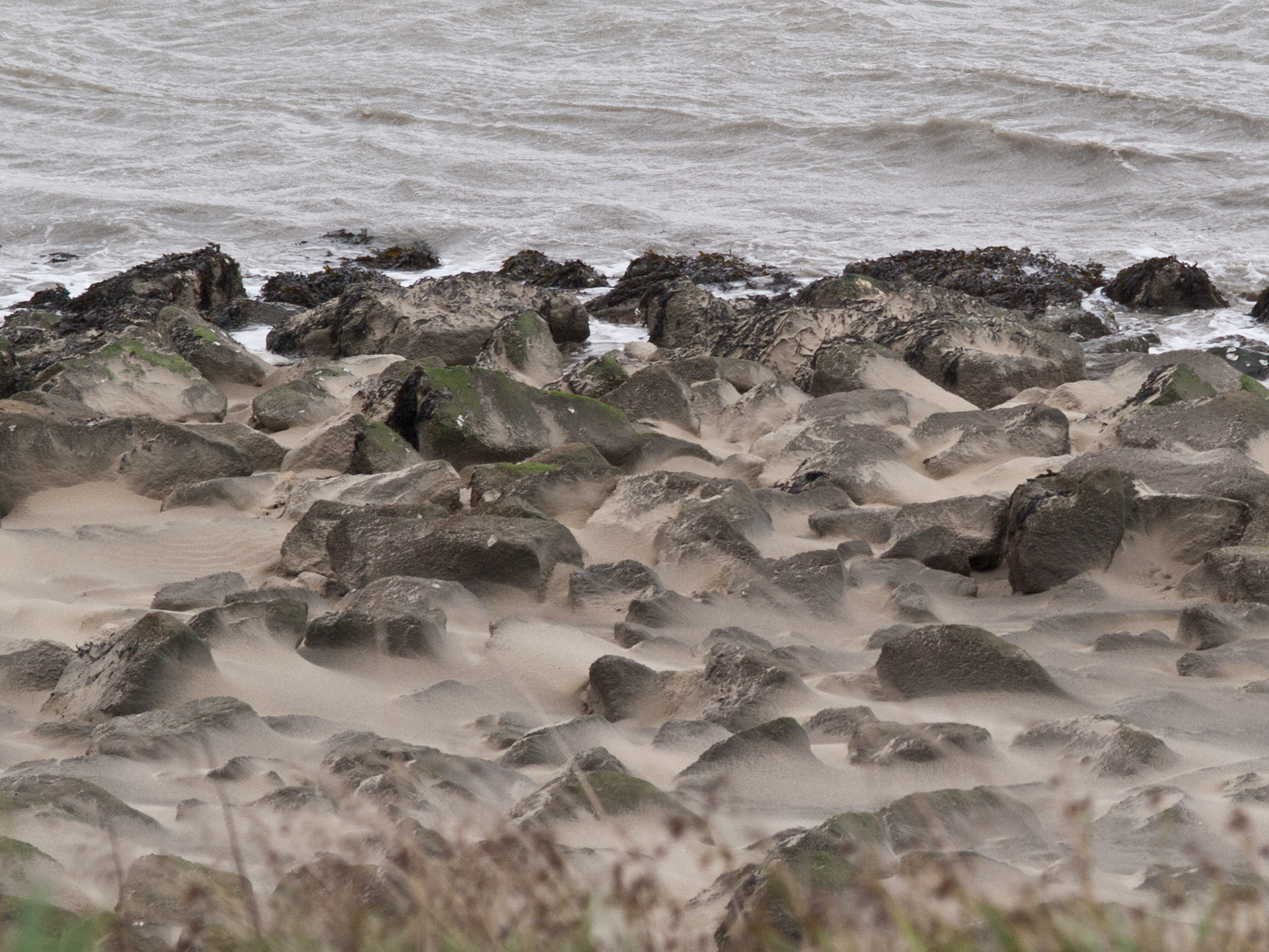 Westerschelde