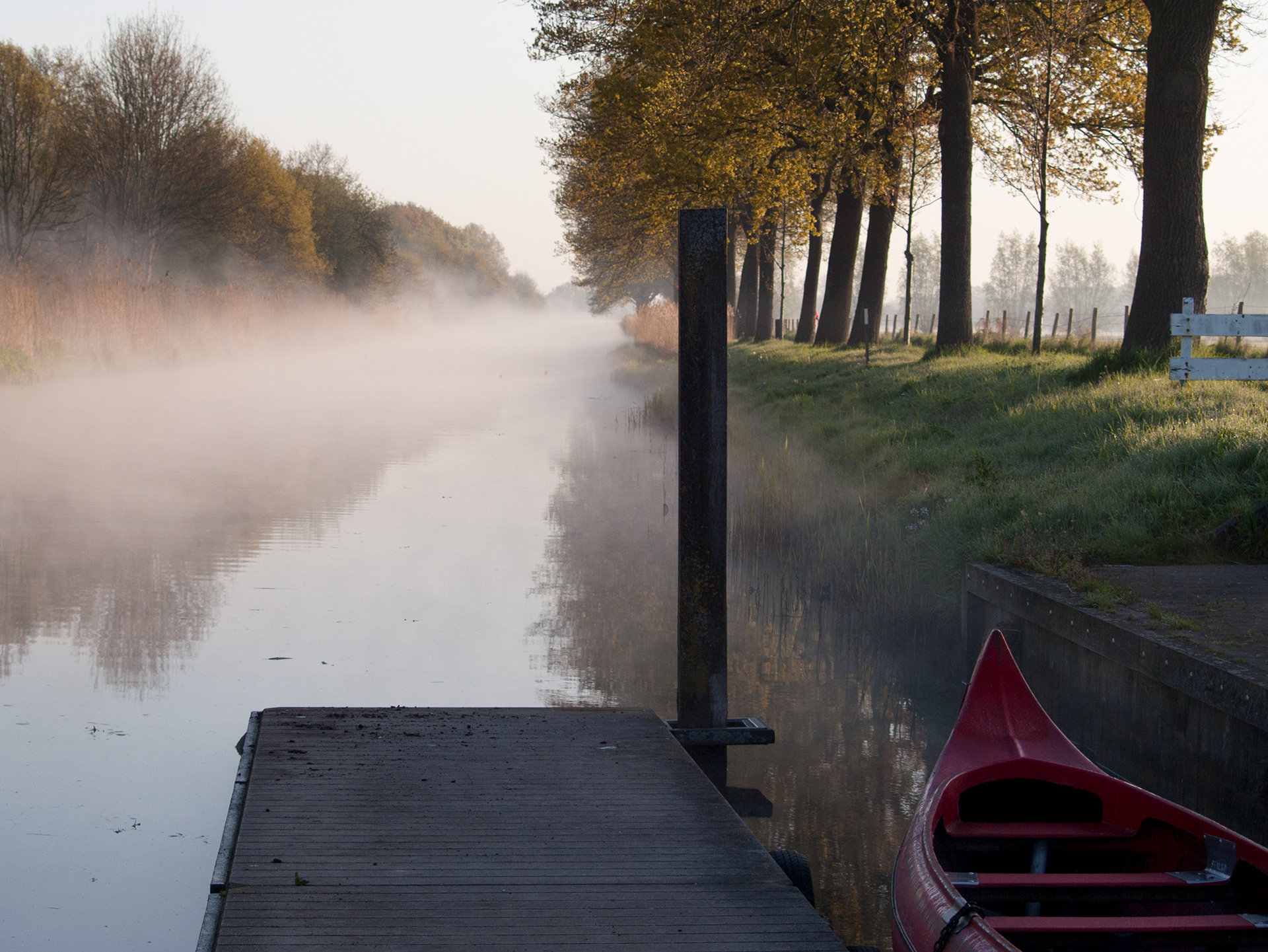 Mist