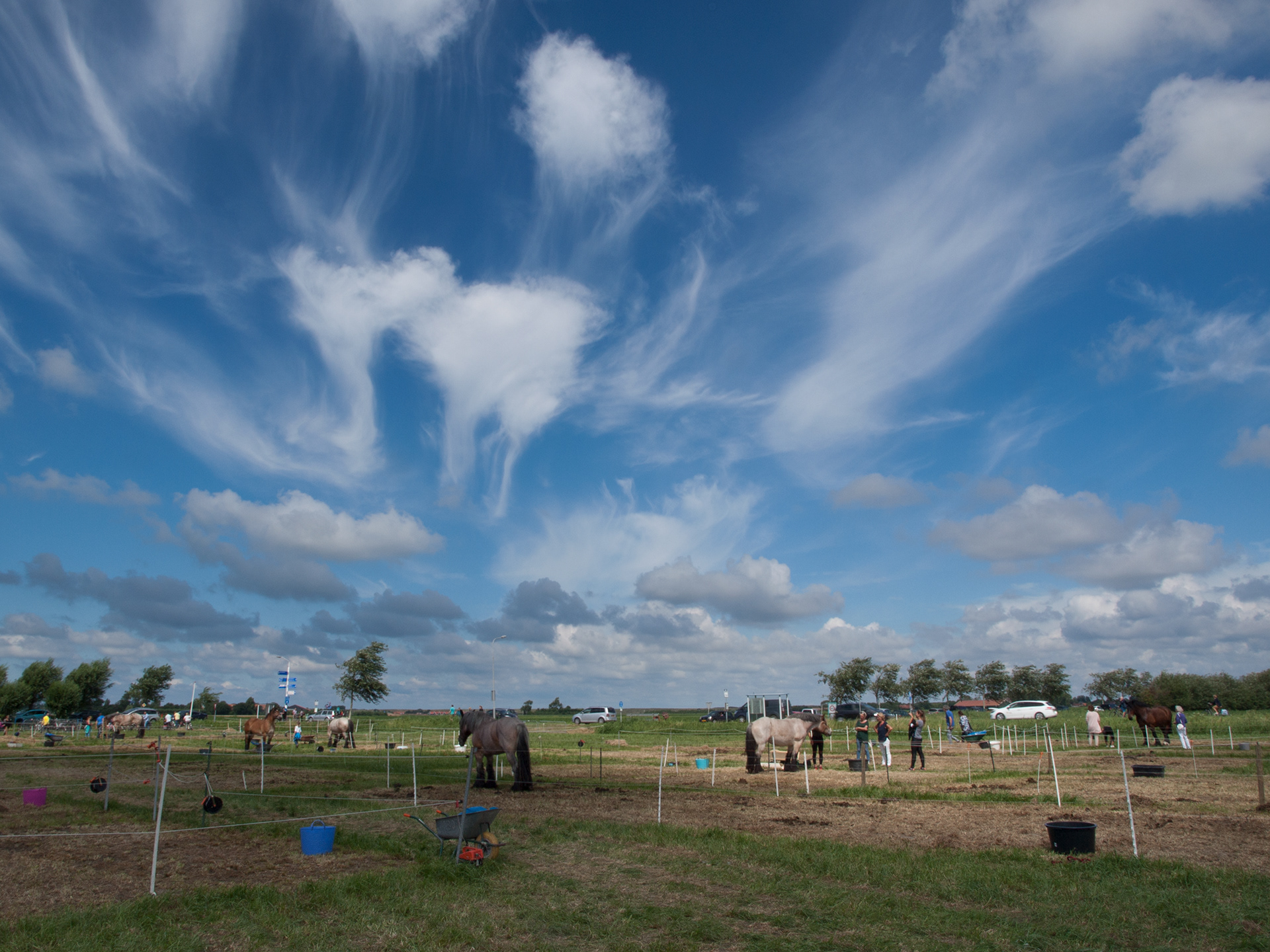 Windkracht 6