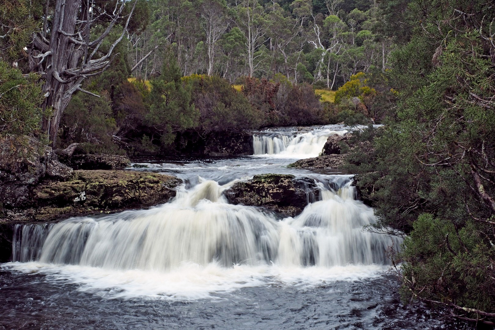Pencil Pine Falls (Upper), Cradle Mtn
