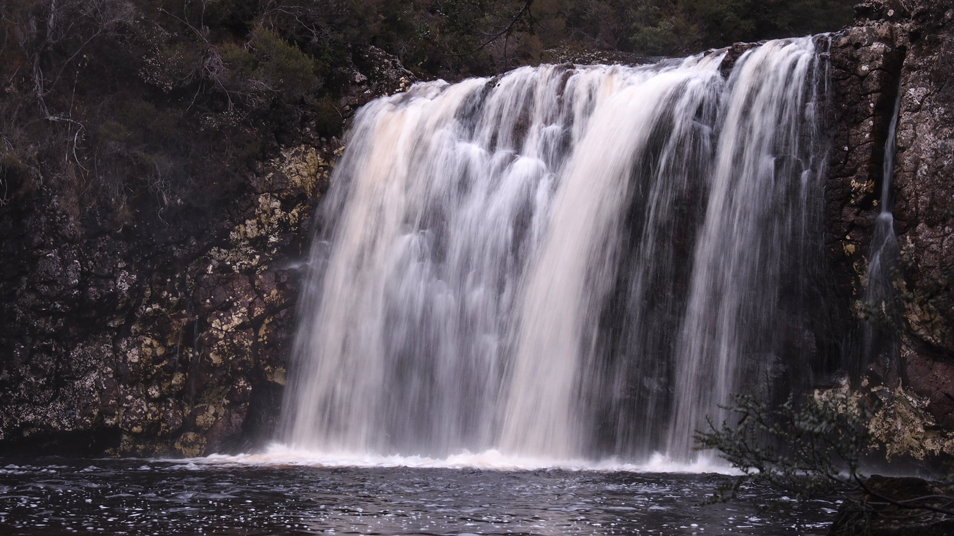 Pencil Pine Falls, Cradle Mtn