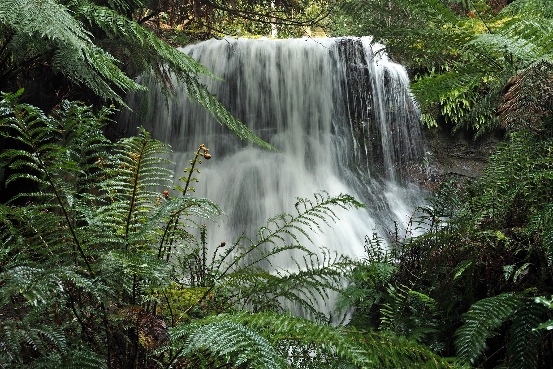 Silver Falls