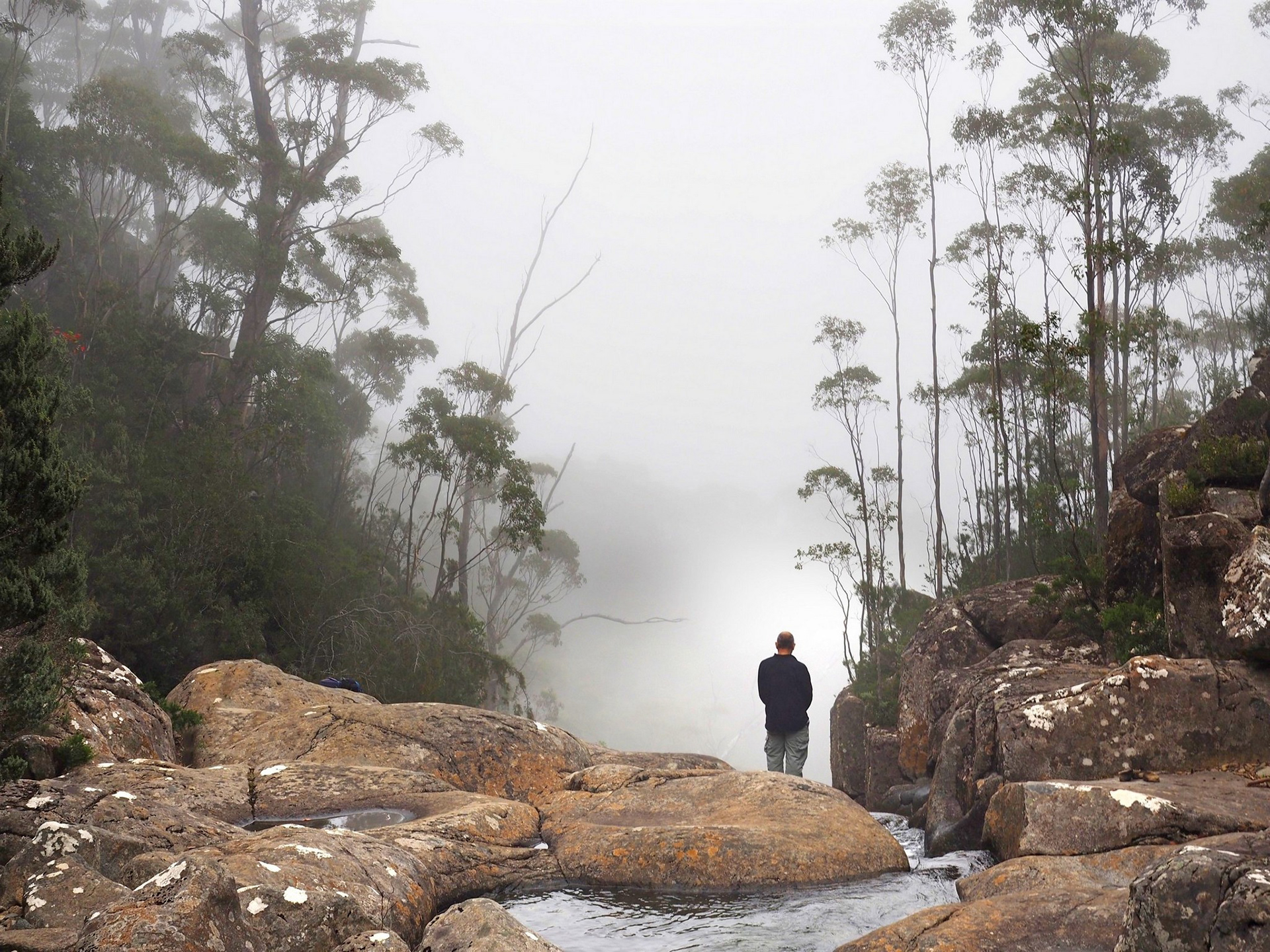 Outlook from top of Wellington Falls