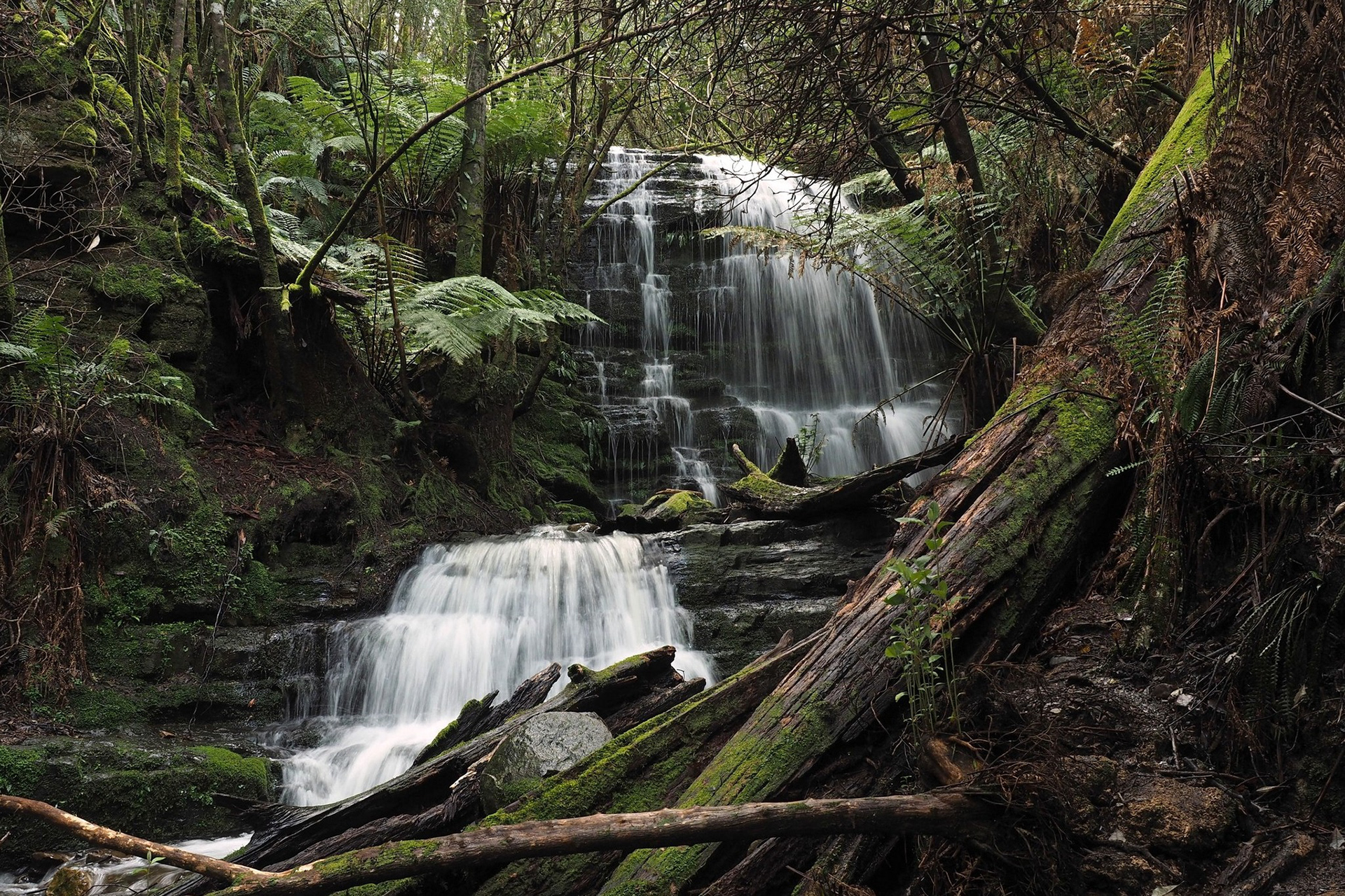 Myrtle Gully Falls