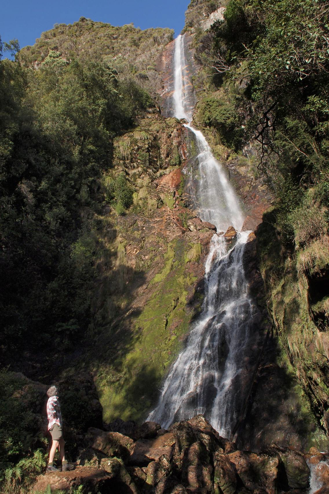 Montuzema Falls, West Coast
