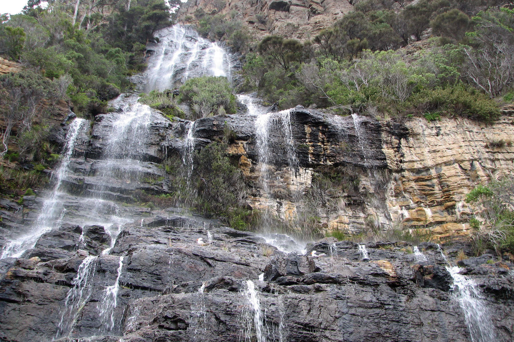 Waterfall Bay - falls cascade into the ocean