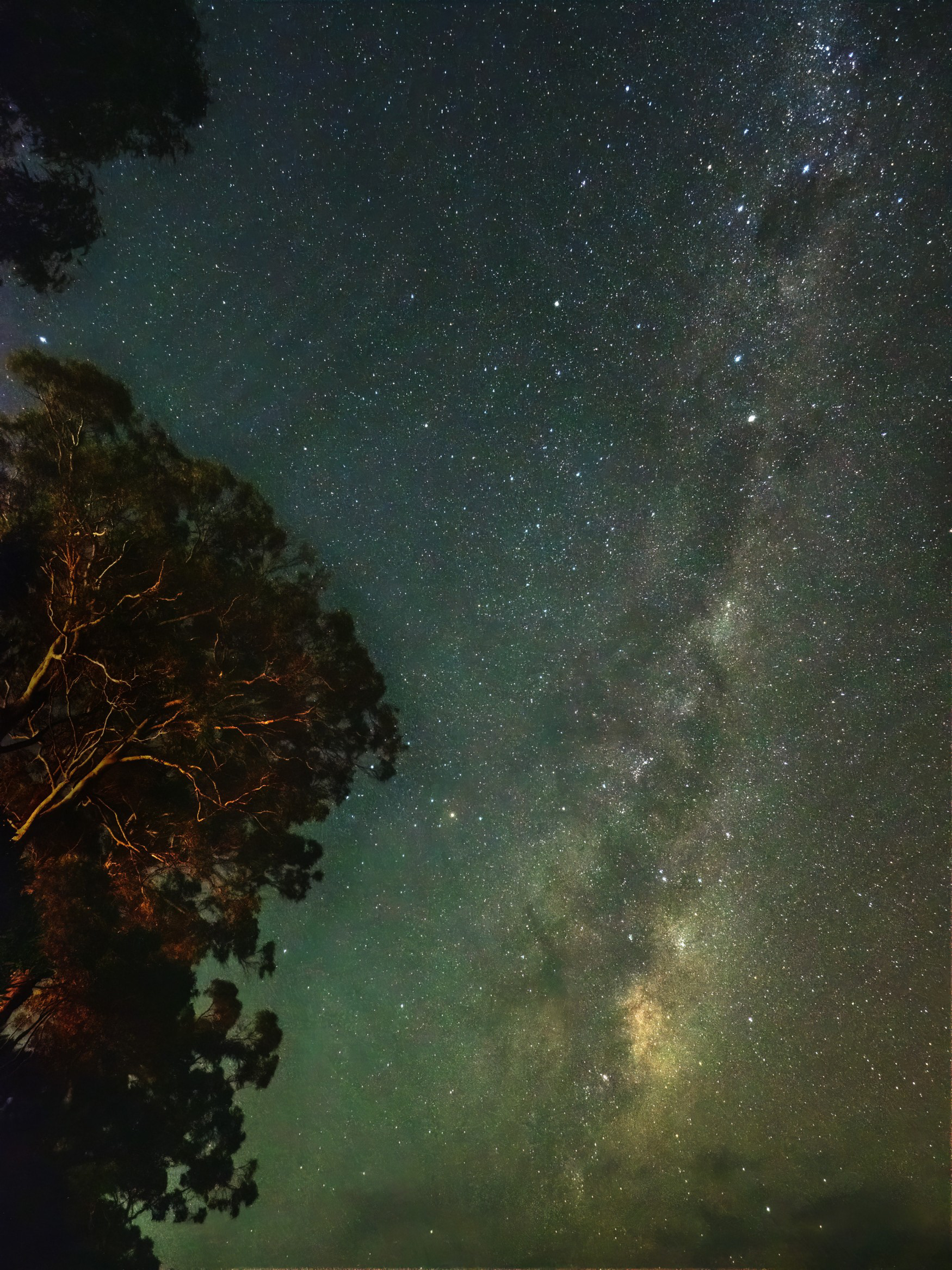 "The Emu Rising" - Milky Way & galactic center