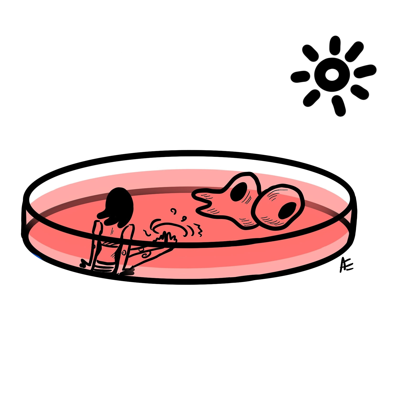 Summer in a Petri