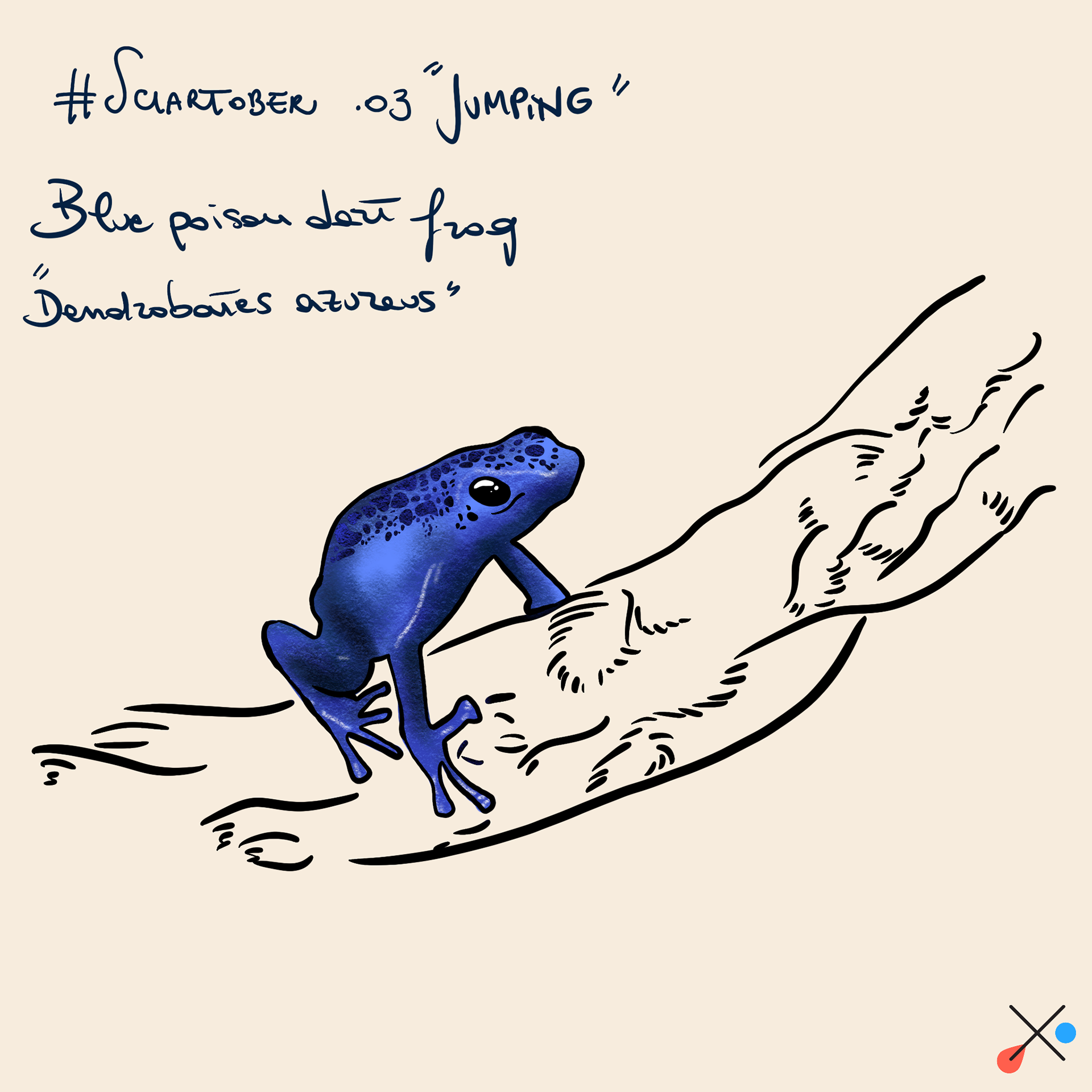 Blue poison dart frog