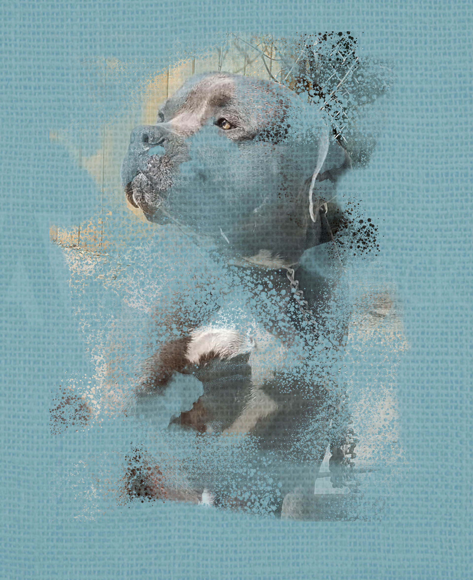 A color & texture example