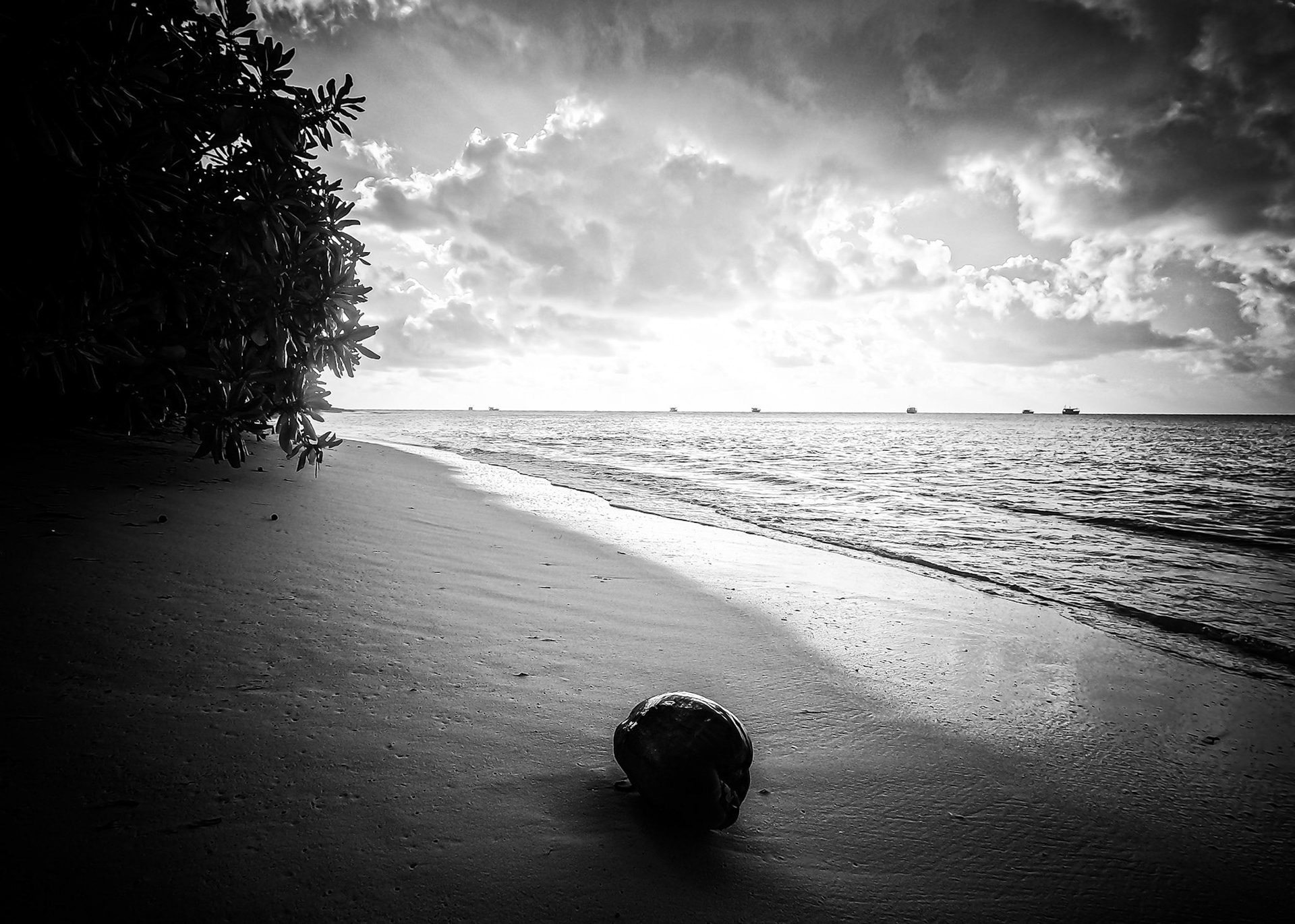DCIM\100GOPRO\GOPR1642.JPG