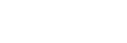 Flyball is art