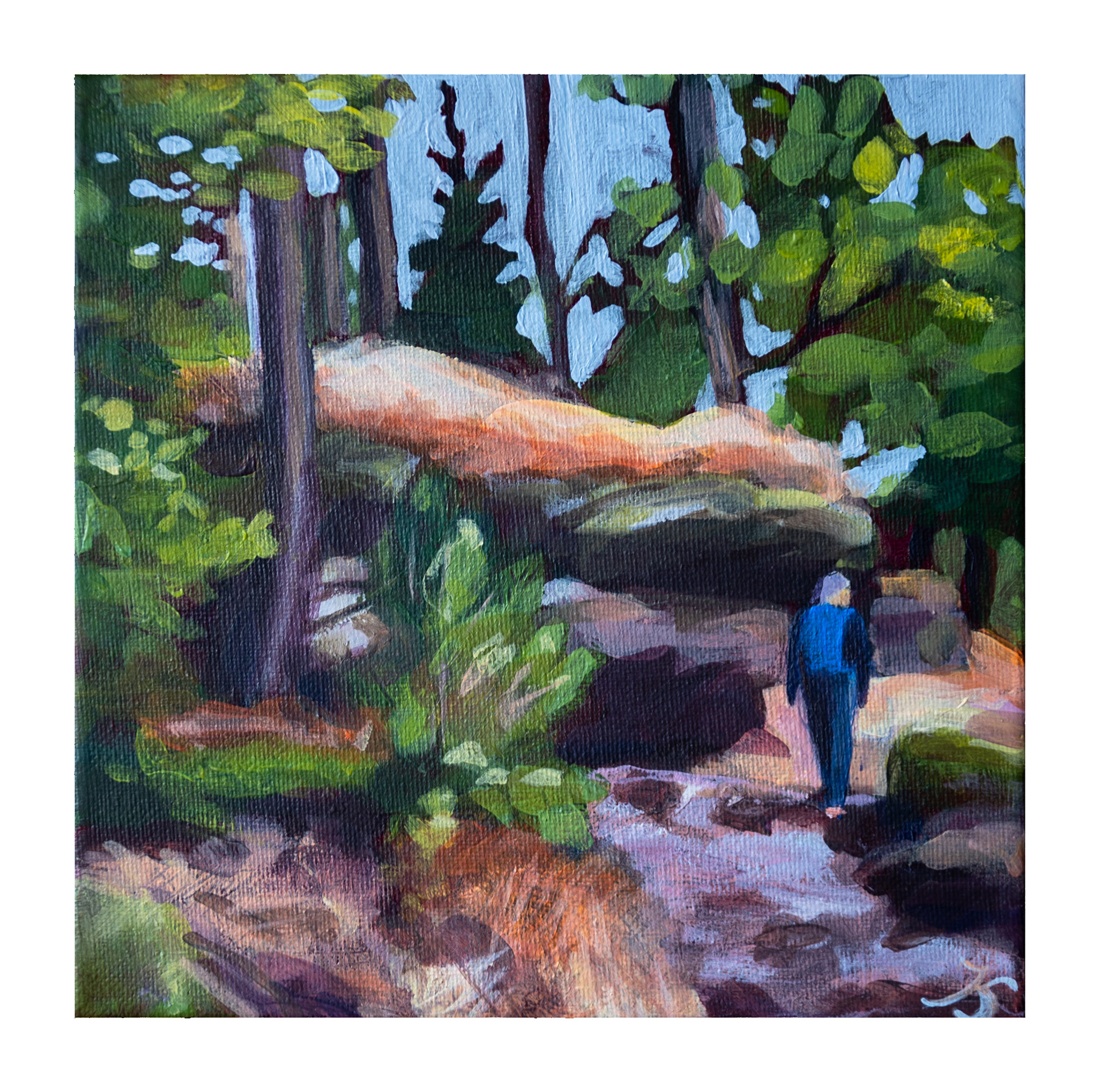 Drachenfels in der Pfalz