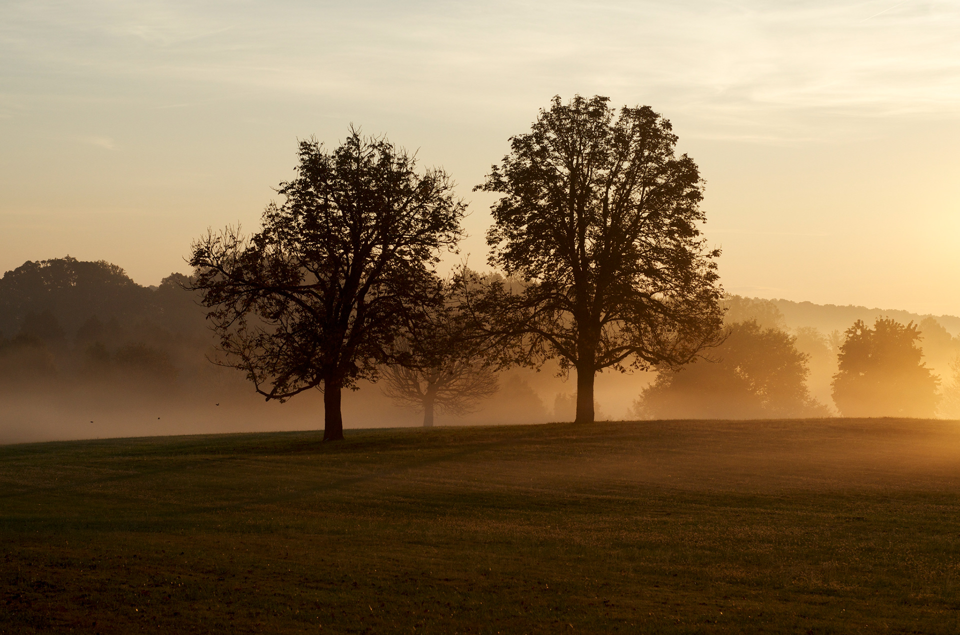 Fauquier County, Virginia