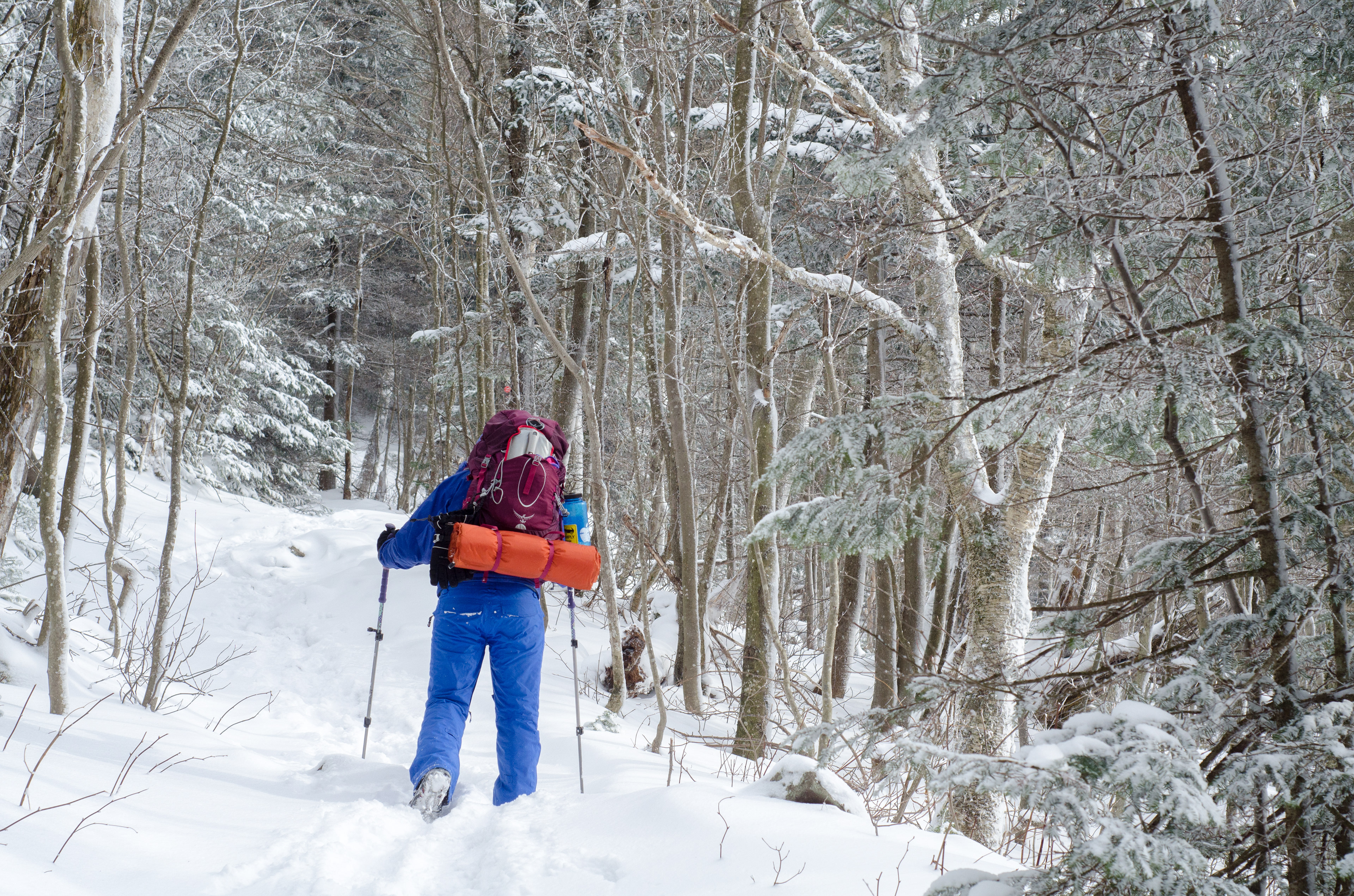 Kayla Green hikes up Slide Mountain, part of the Catskills Mountains in New York.
