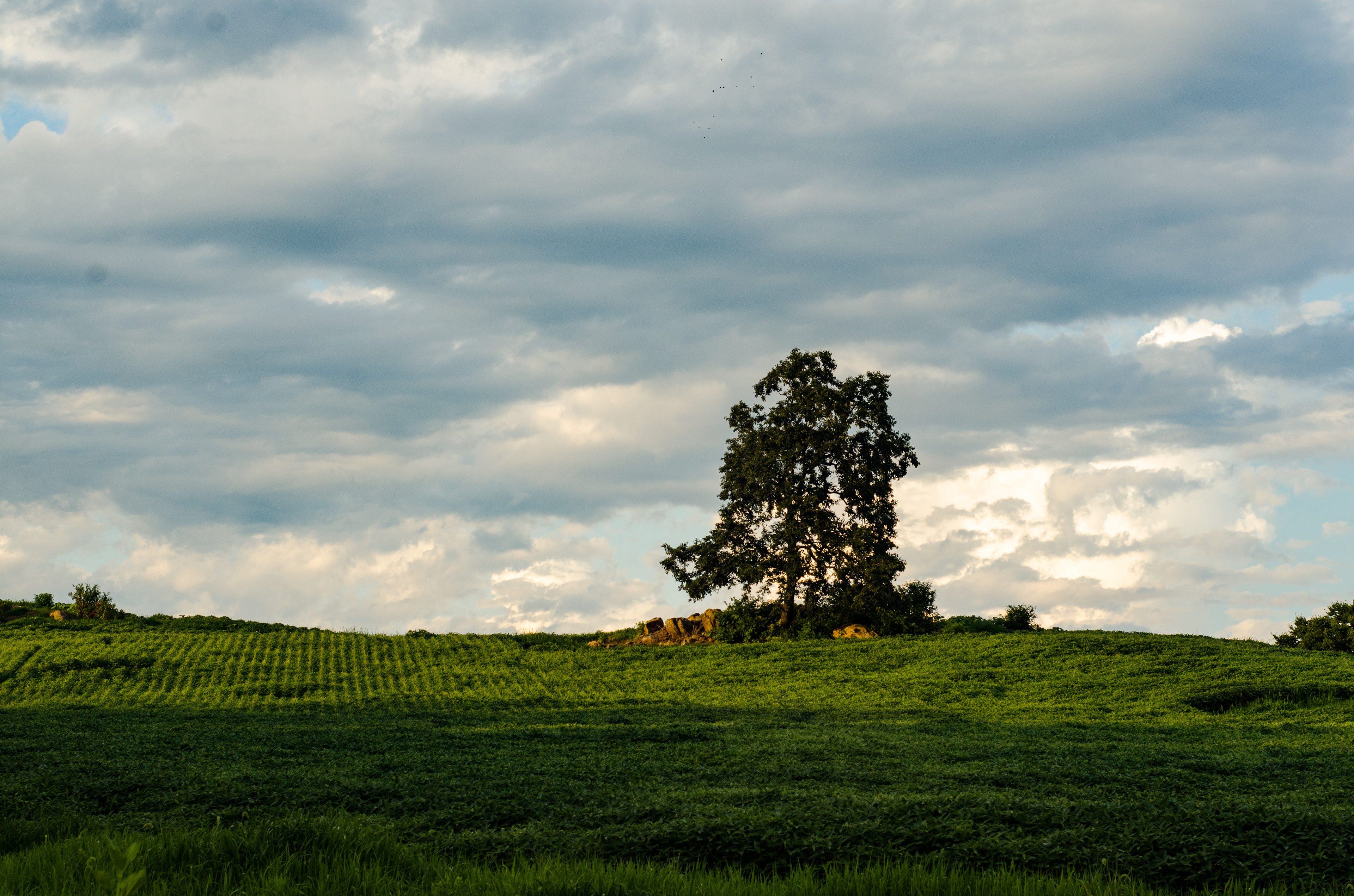 Fauquier County, Virginia