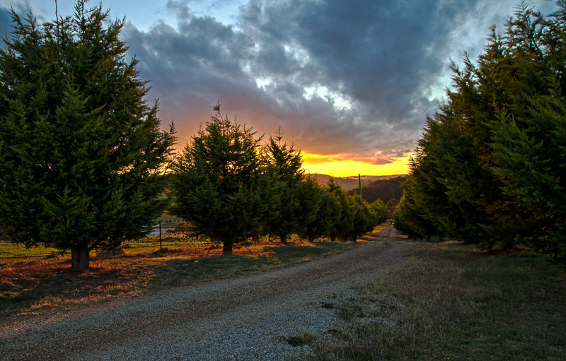 Landscapes