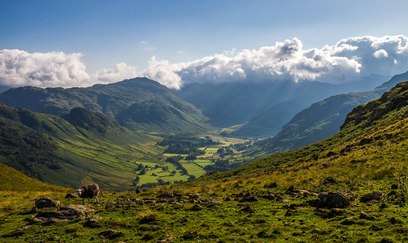 Landscapes